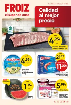 Froiz Froiz folleto