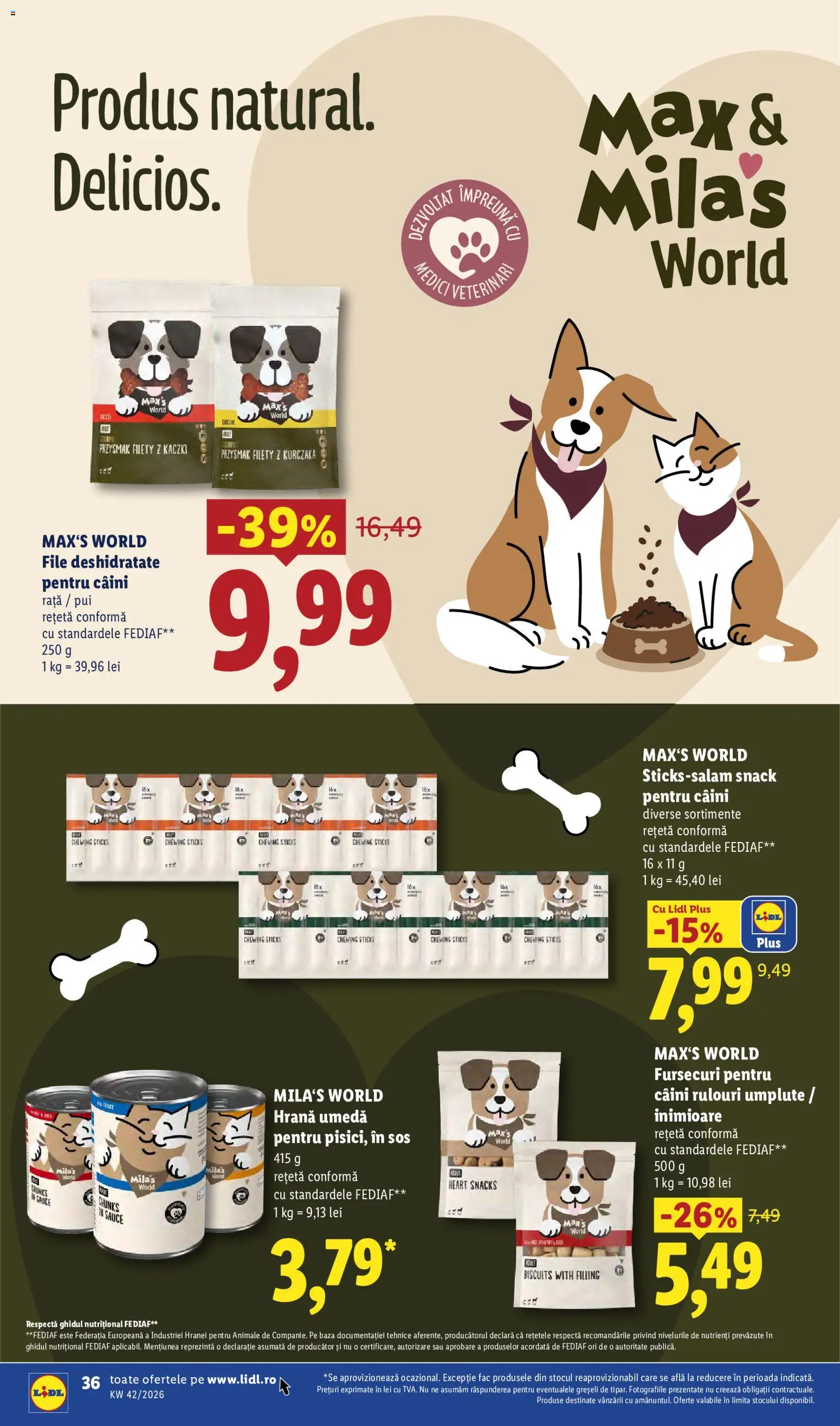 Lidl Catalog Catalog in România