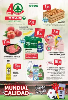 Spar Spar folleto