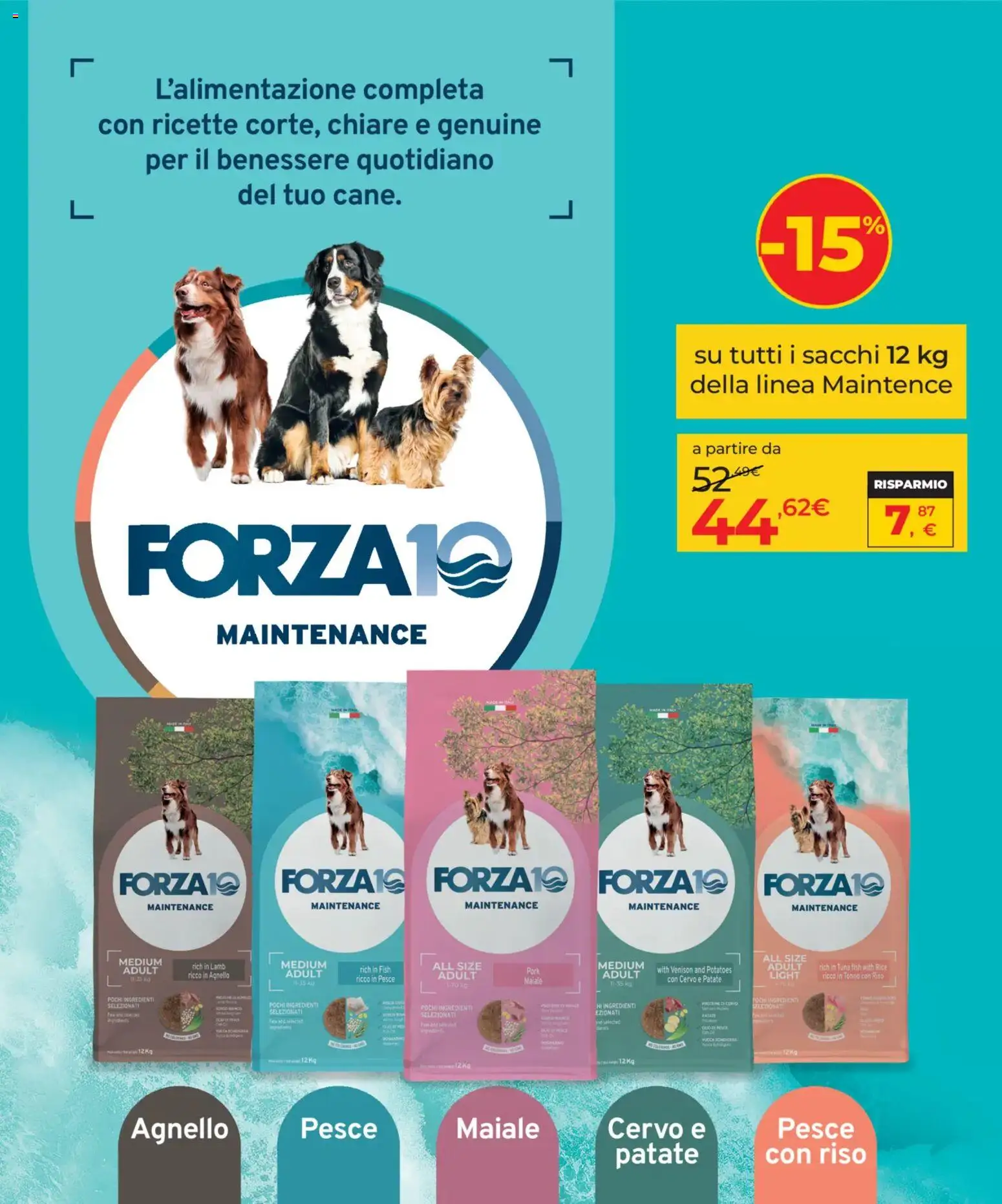Arcaplanet volantino Volantino in Italy