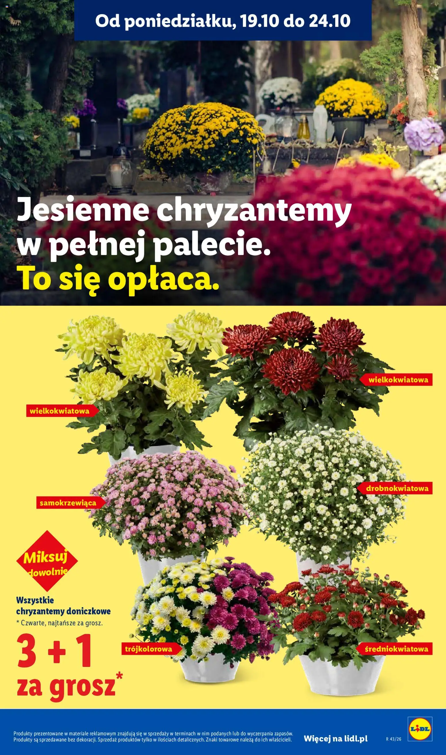 Lidl gazetka Gazetka in Polska