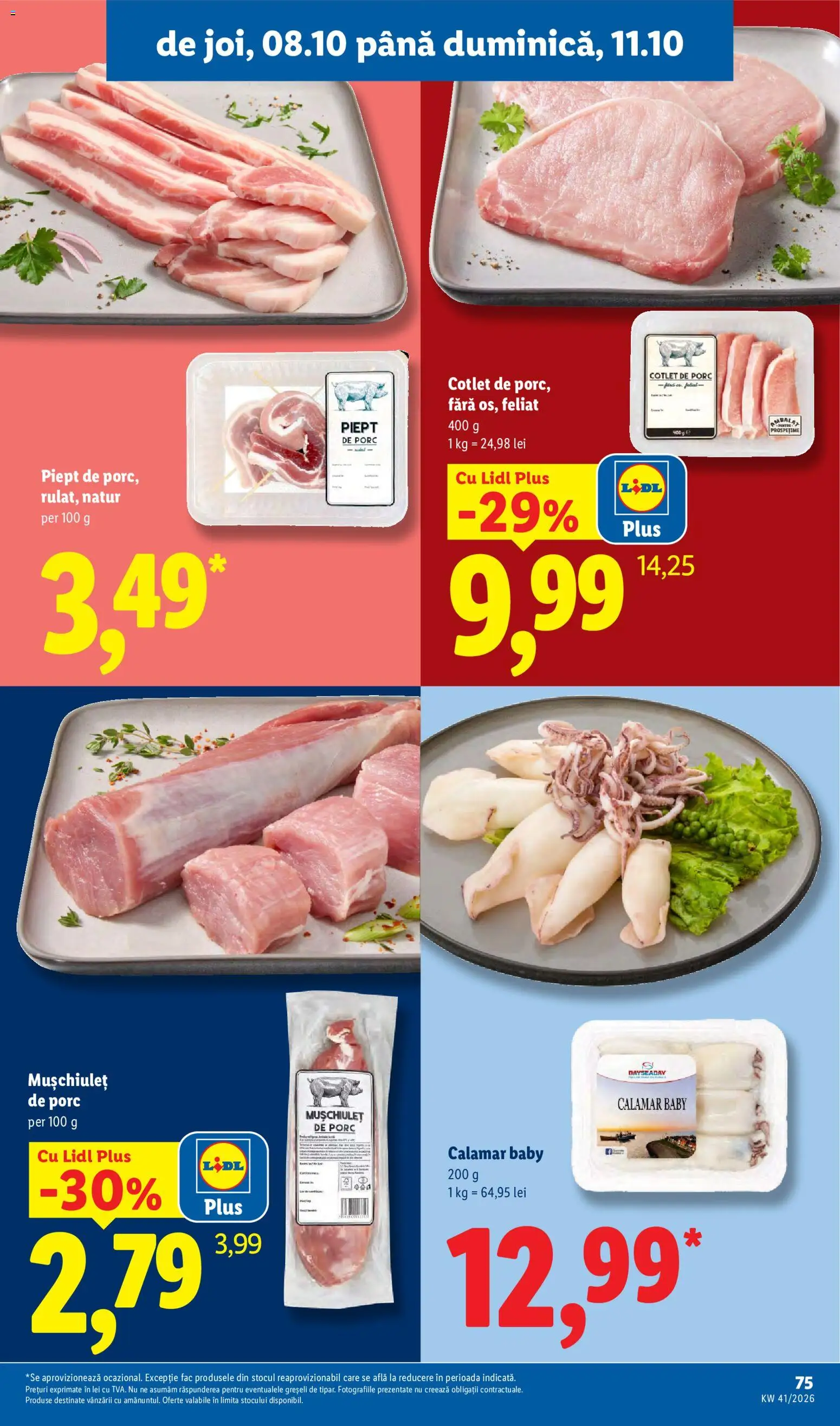 Lidl Catalog Catalog in România