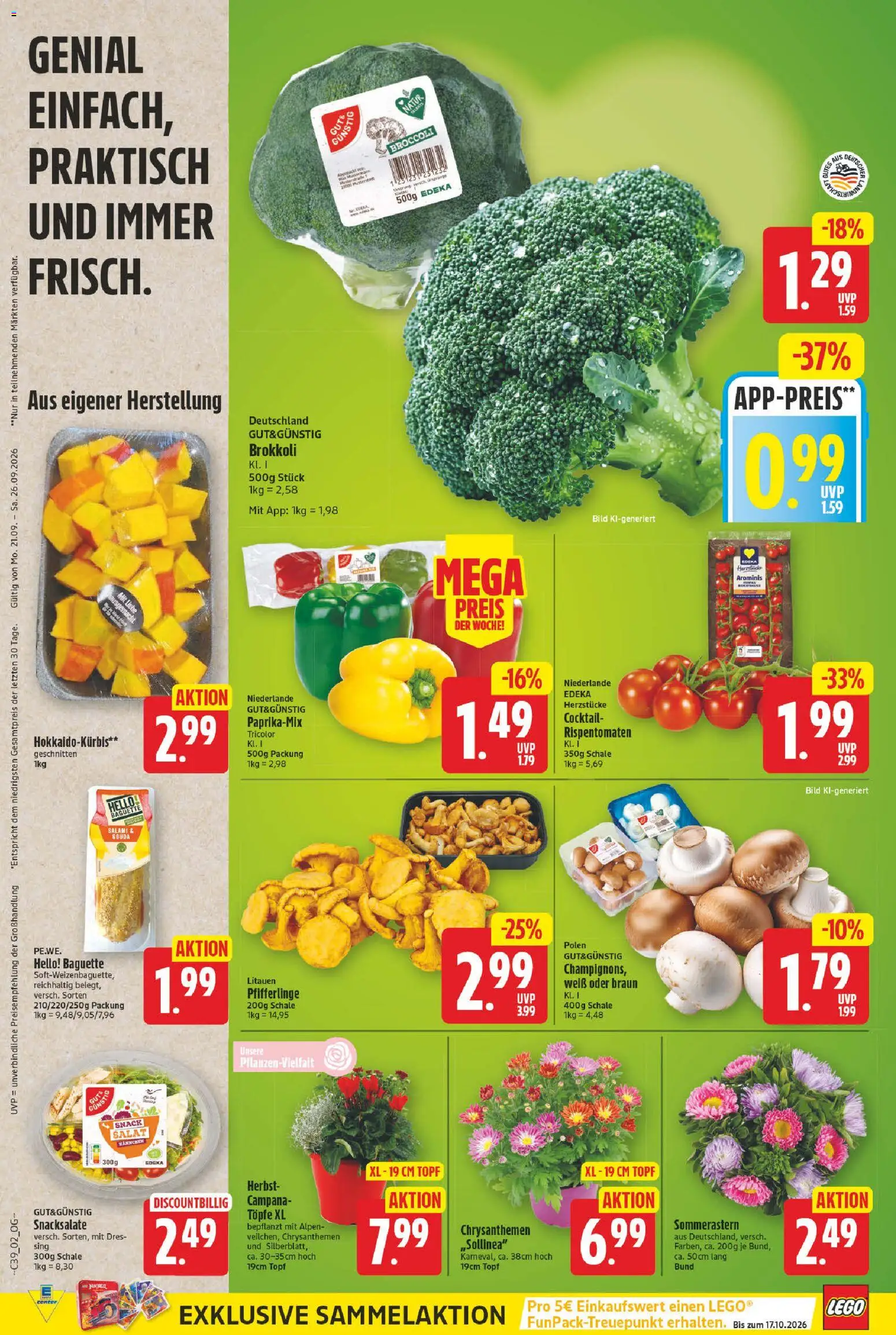 E center Prospekt Prospekt in Deutschland
