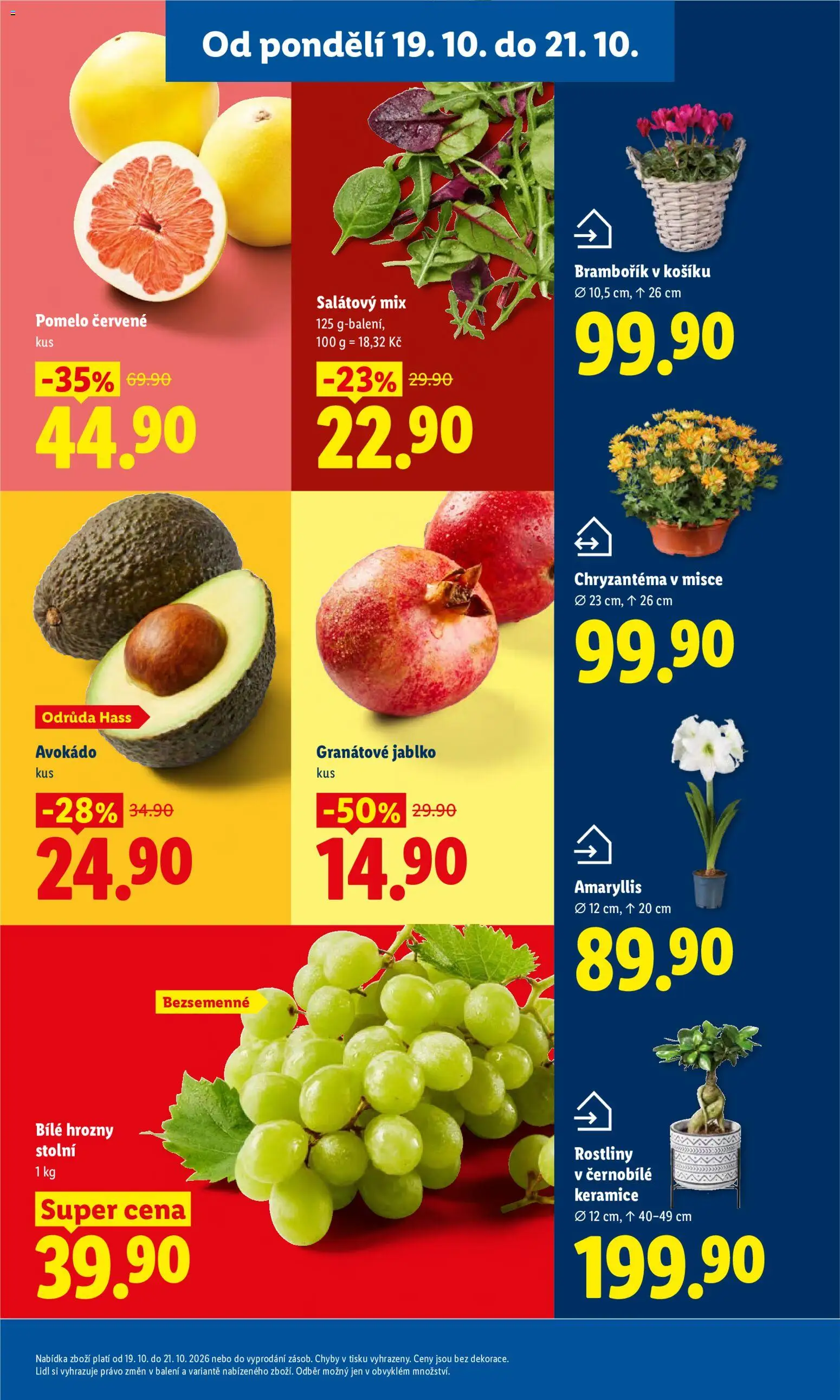 Lidl leták Leták in Česko