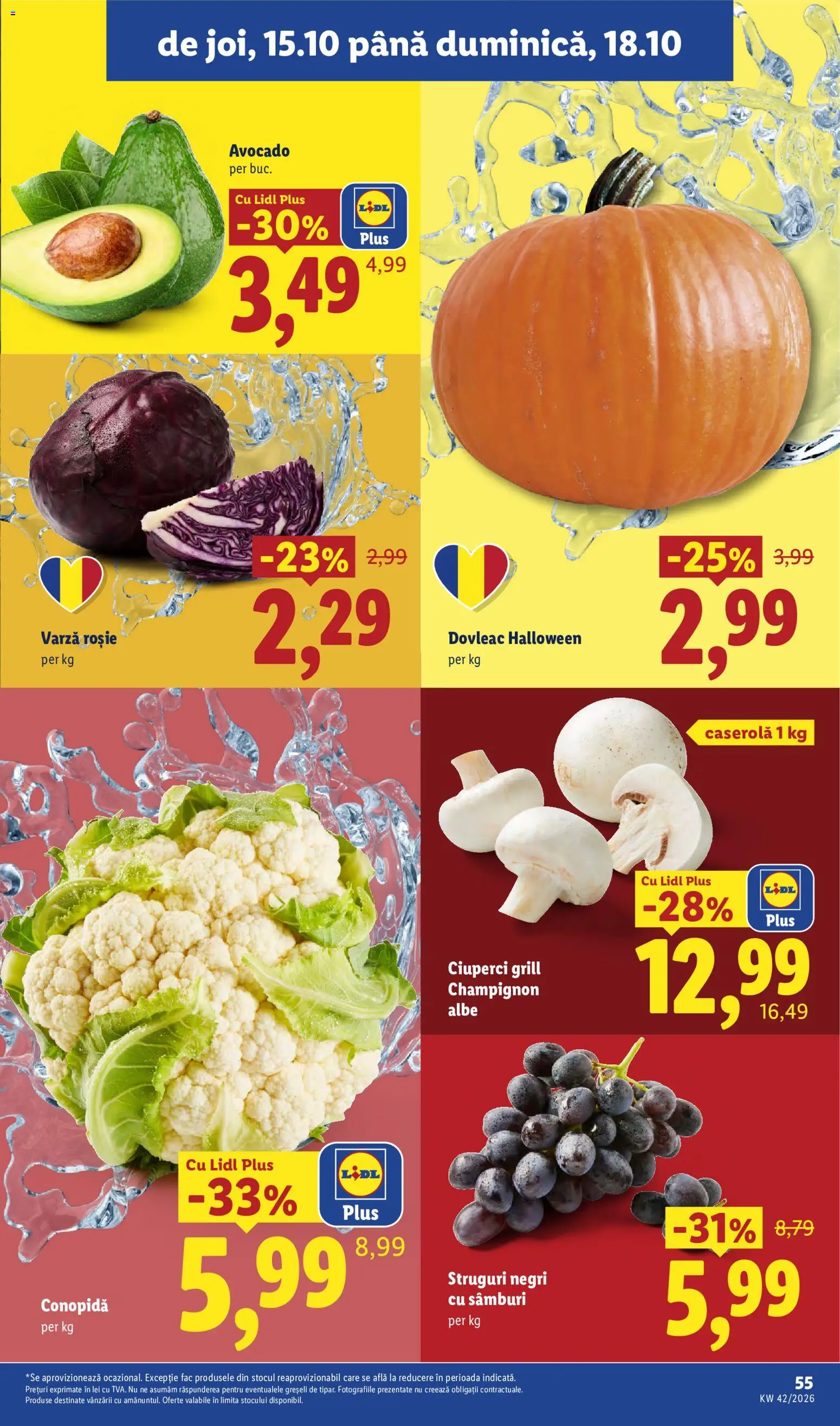 Lidl Catalog Catalog in România