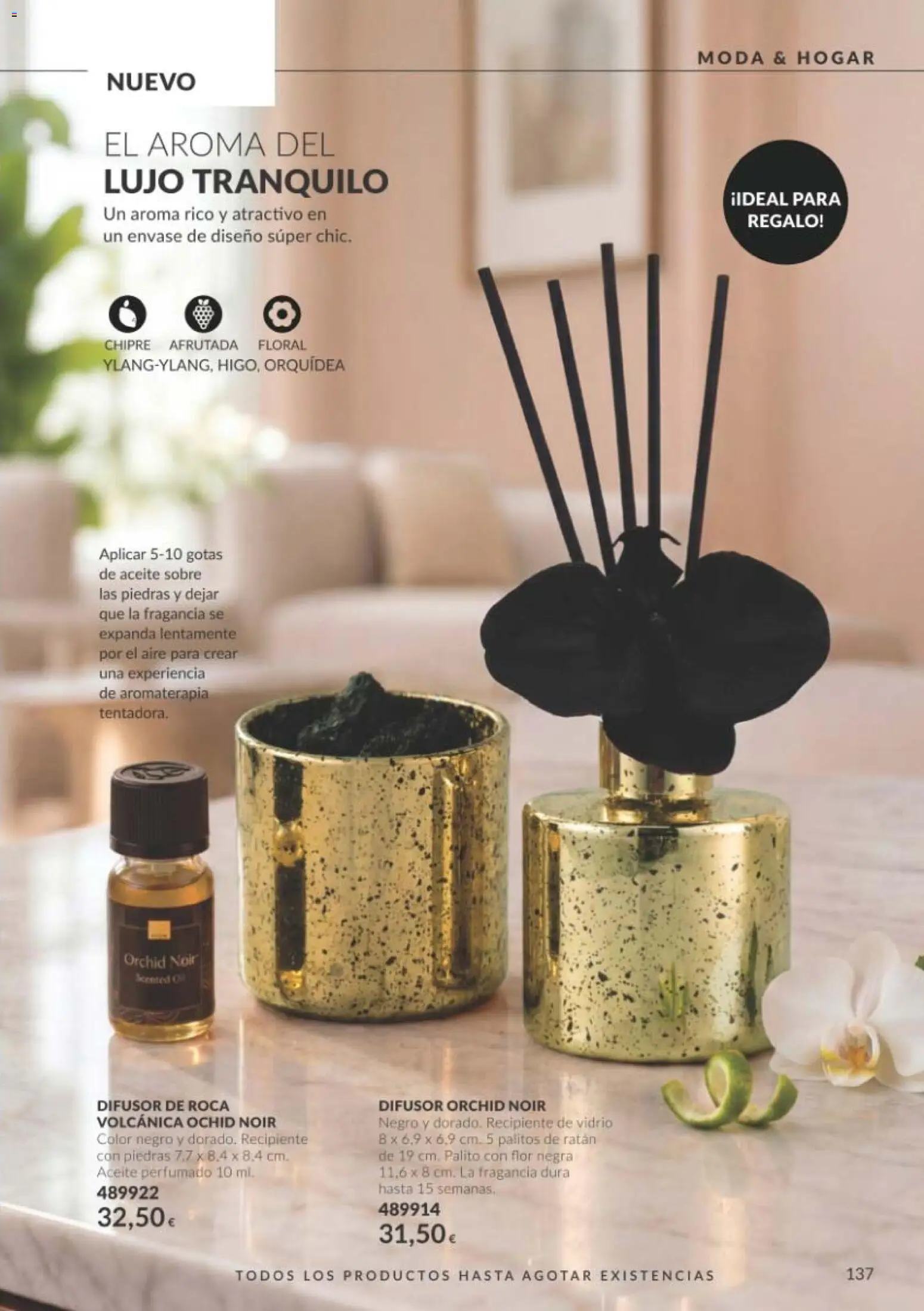 Catálogo AVON campaña 10 Folleto in España