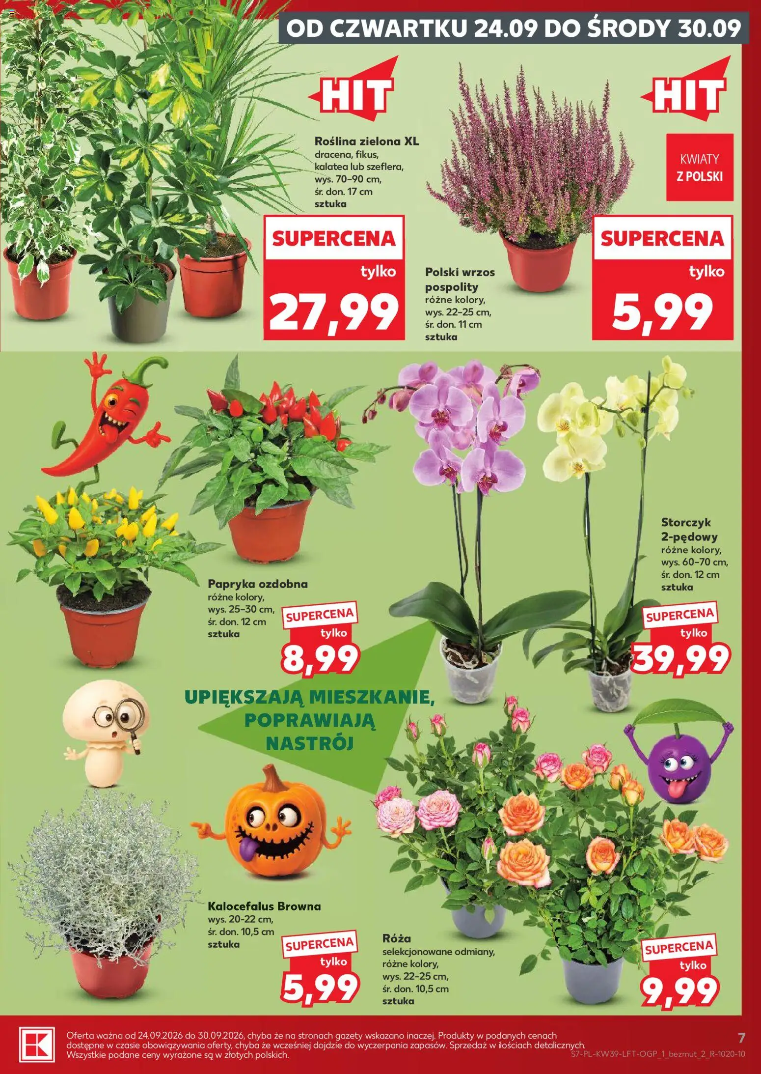 Kaufland gazetka Gazetka in Polska
