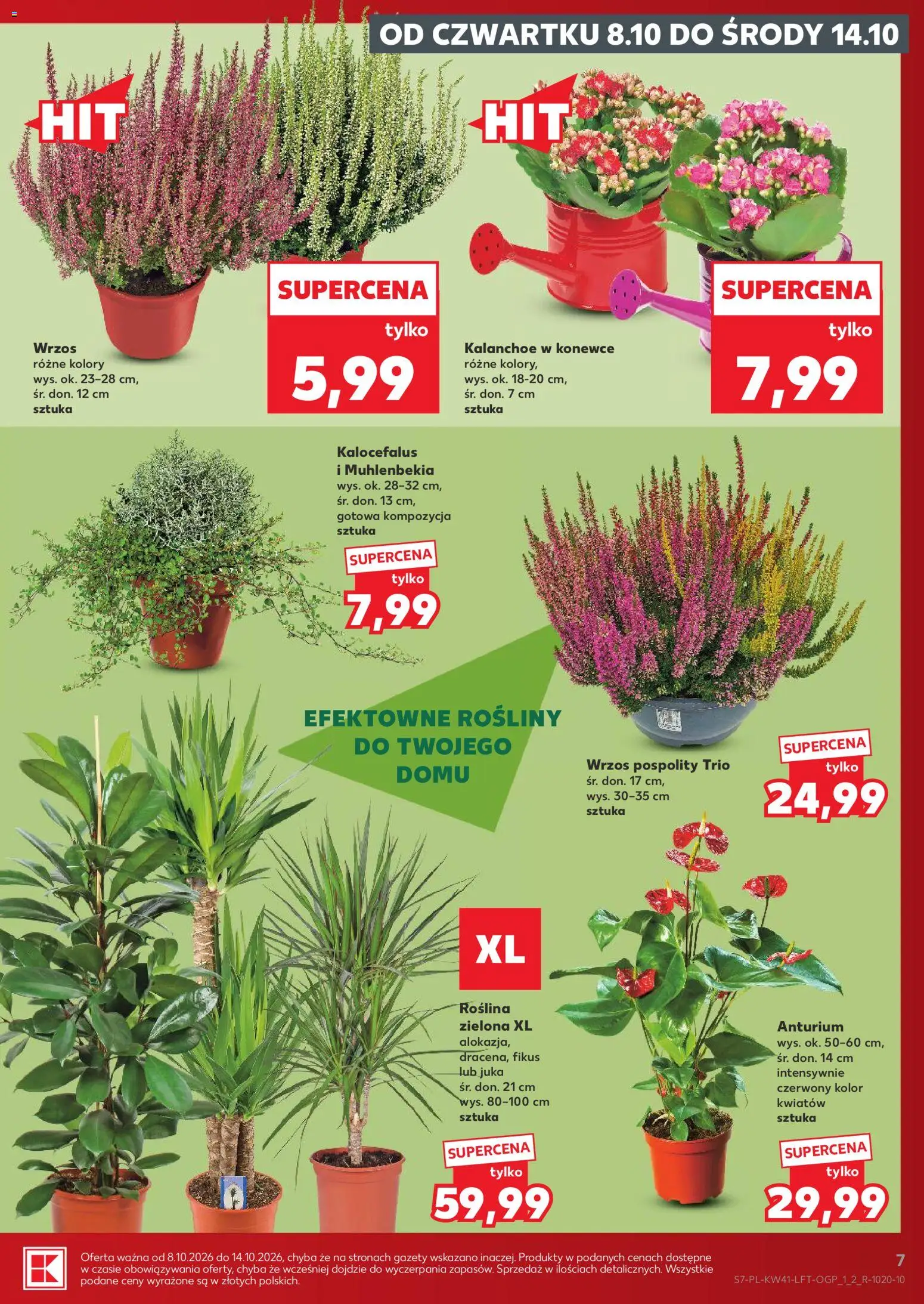 Kaufland Polsko leták Leták in Česko