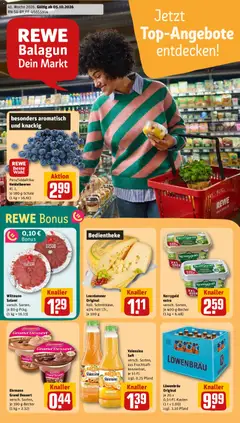 Rewe DE Rewe DE - DE Folder