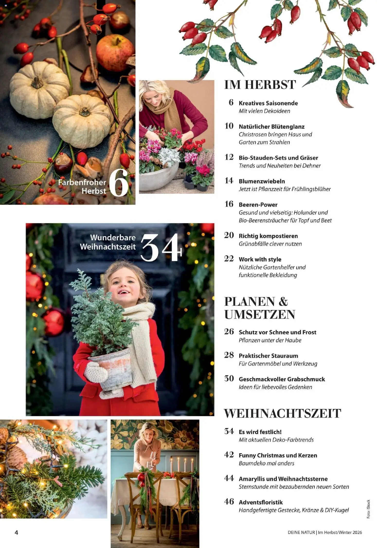 Dehner Prospekt Prospekt in Deutschland