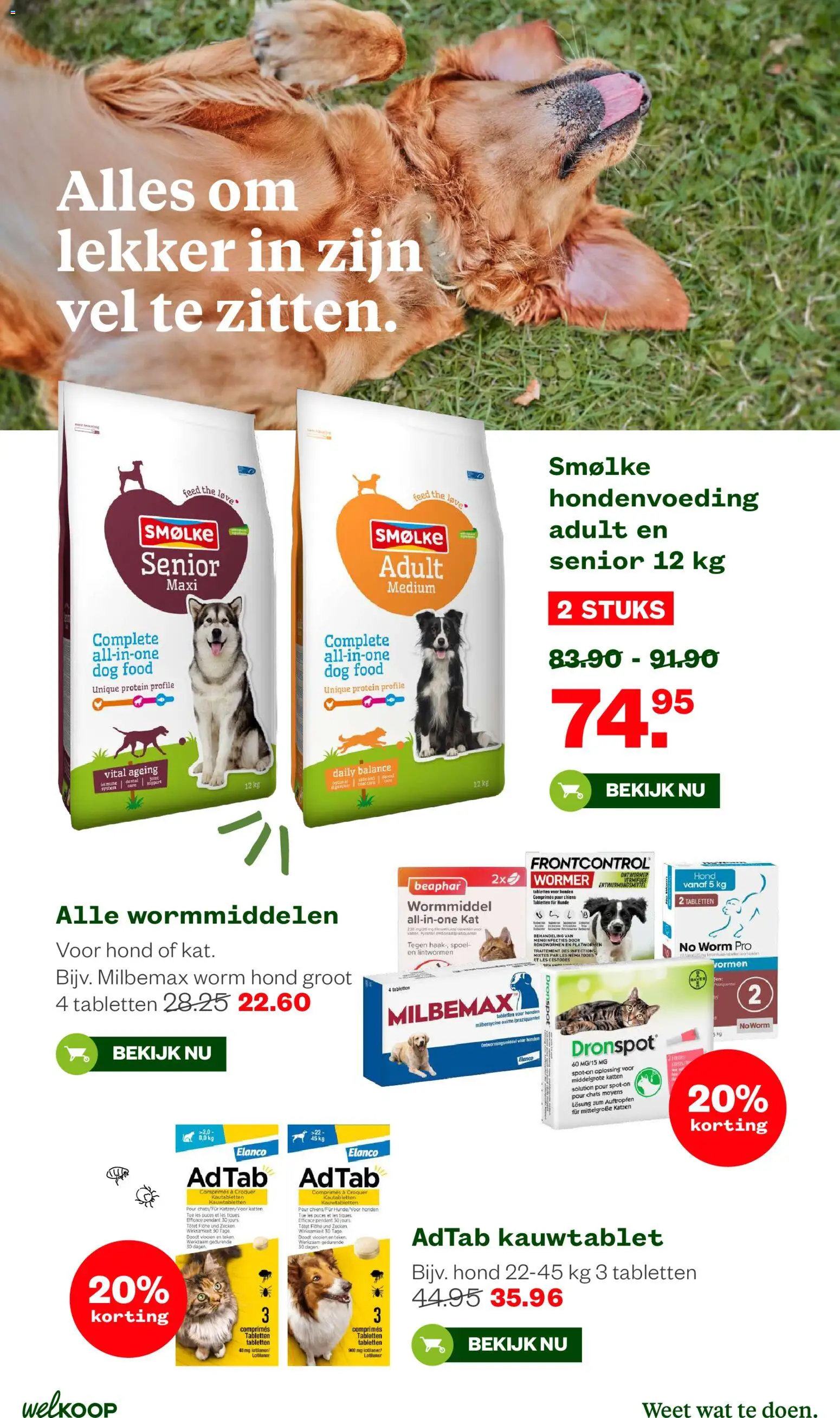 Welkoop folder Folder in Nederland