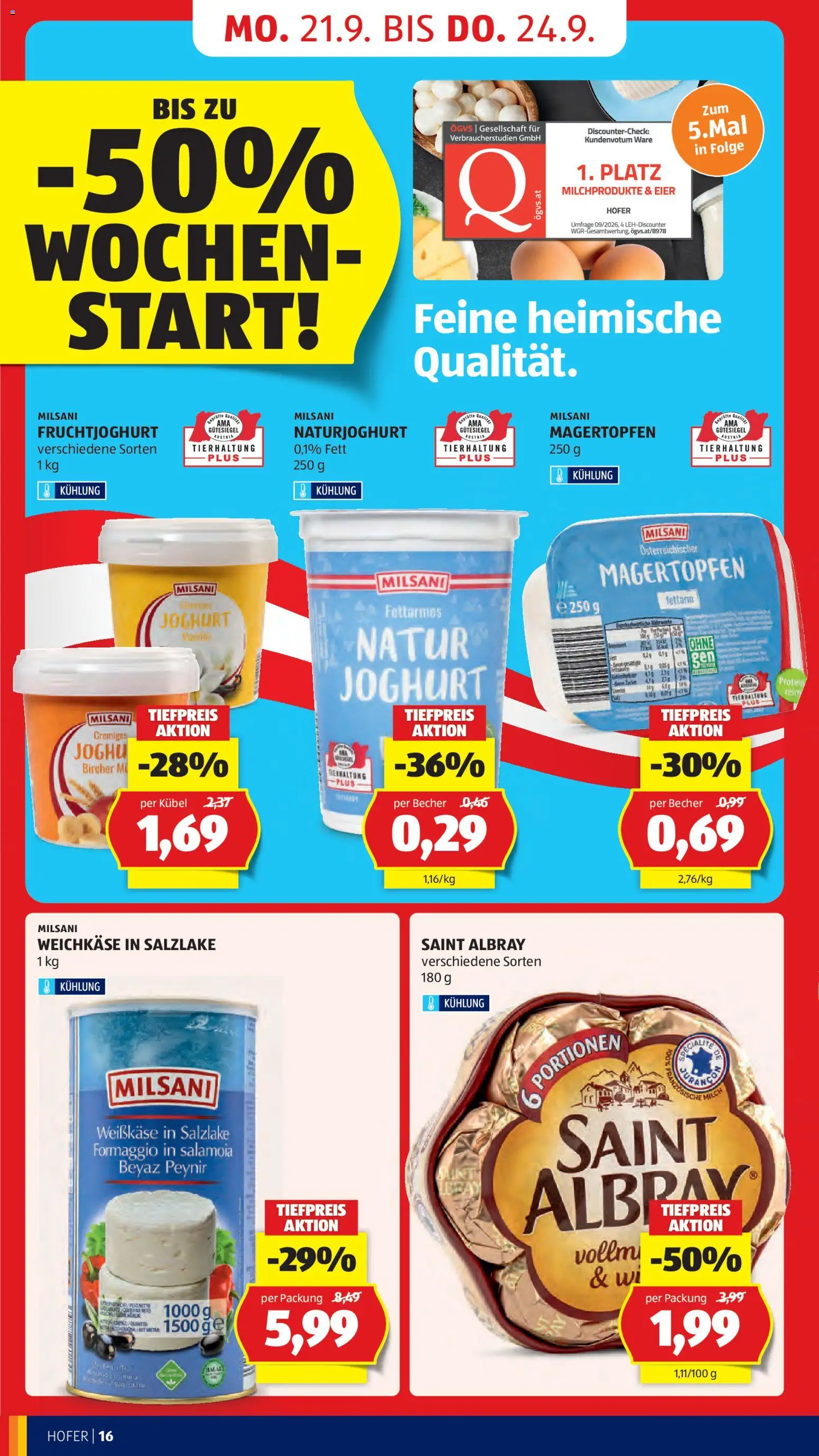 Hofer Flugblatt Flugblatt in Österreich