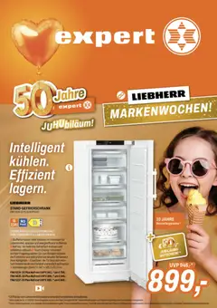  Expert Prospekt aktuell