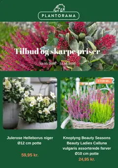 Plantorama Plantorama - Tilbudsavis