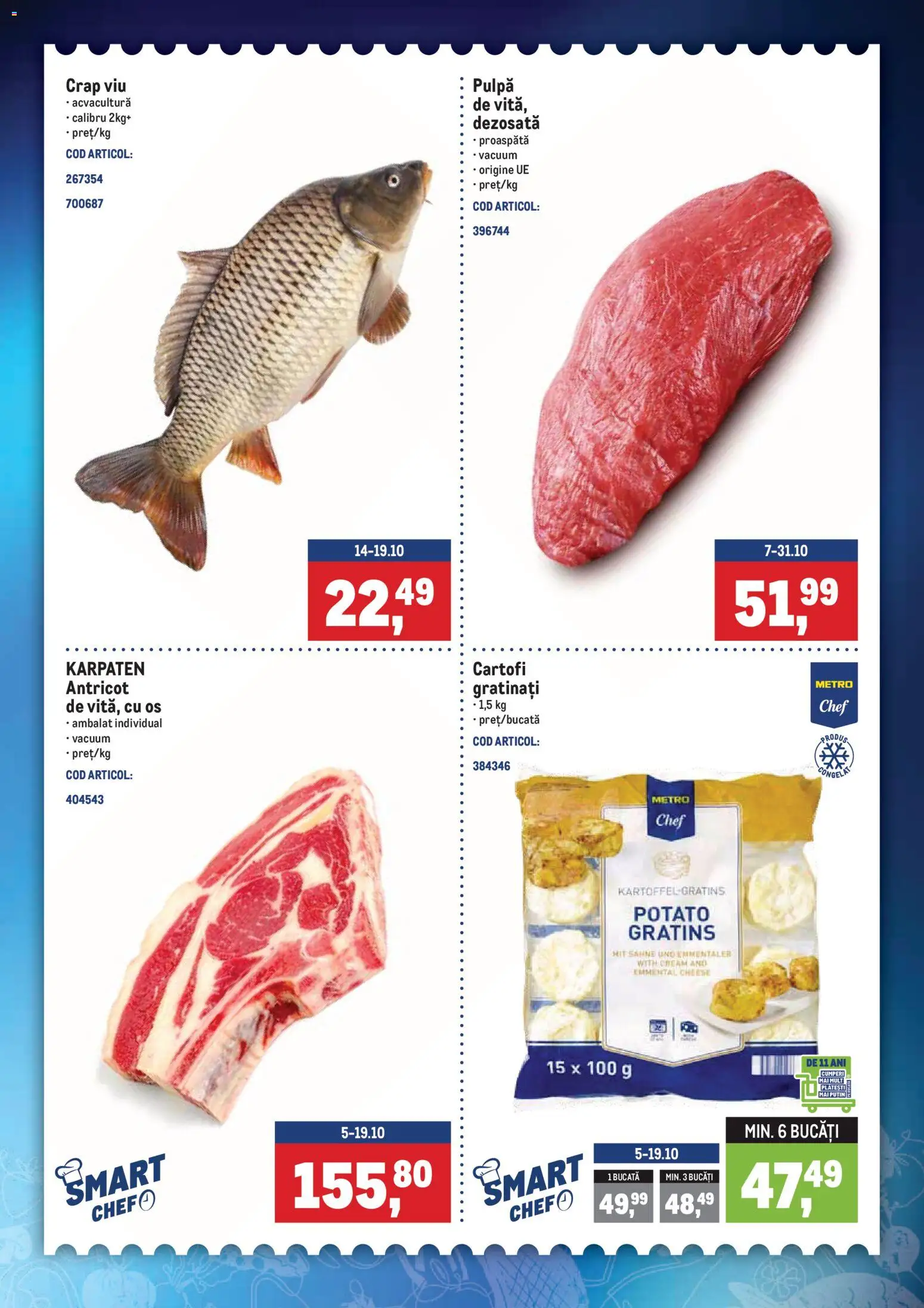 Metro Catalog Catalog in România