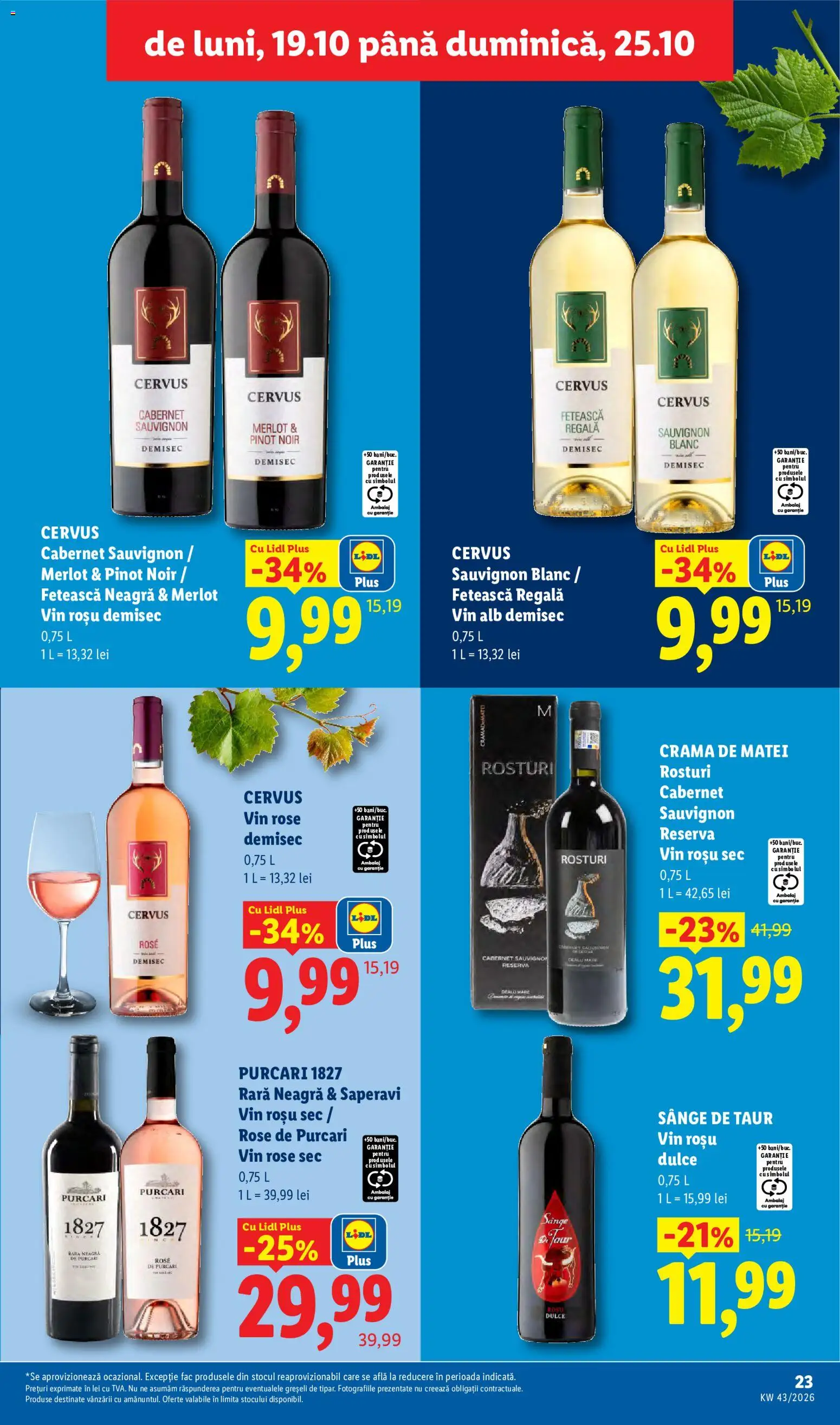 Lidl Catalog Catalog in România