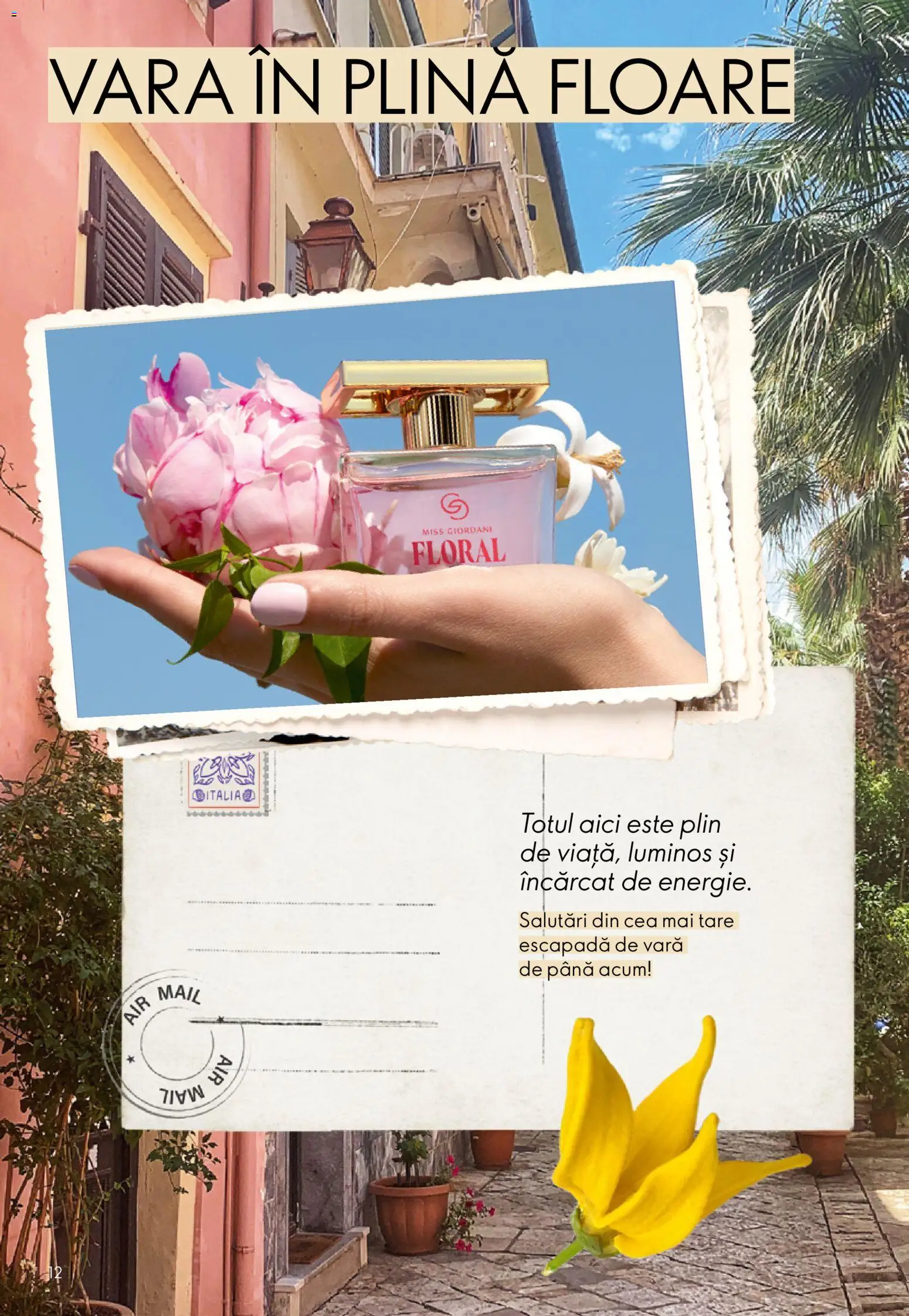 🛍️ Oriflame Catalog 10 2026 din 08.07.2026 » Descoperiți oferte exclusive și economisiți chiar azi! 💰 | România