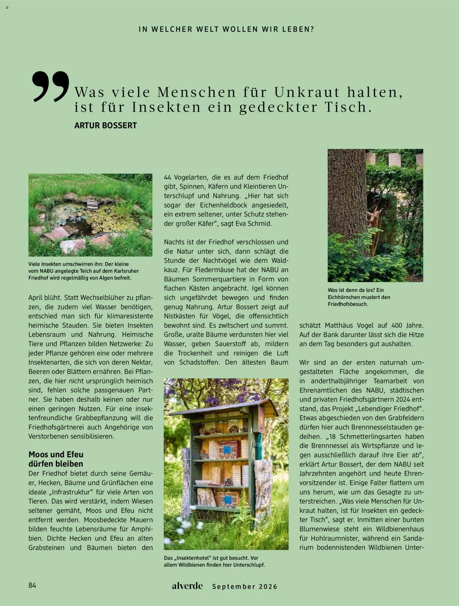 dm drogerie Prospekt Prospekt in Deutschland