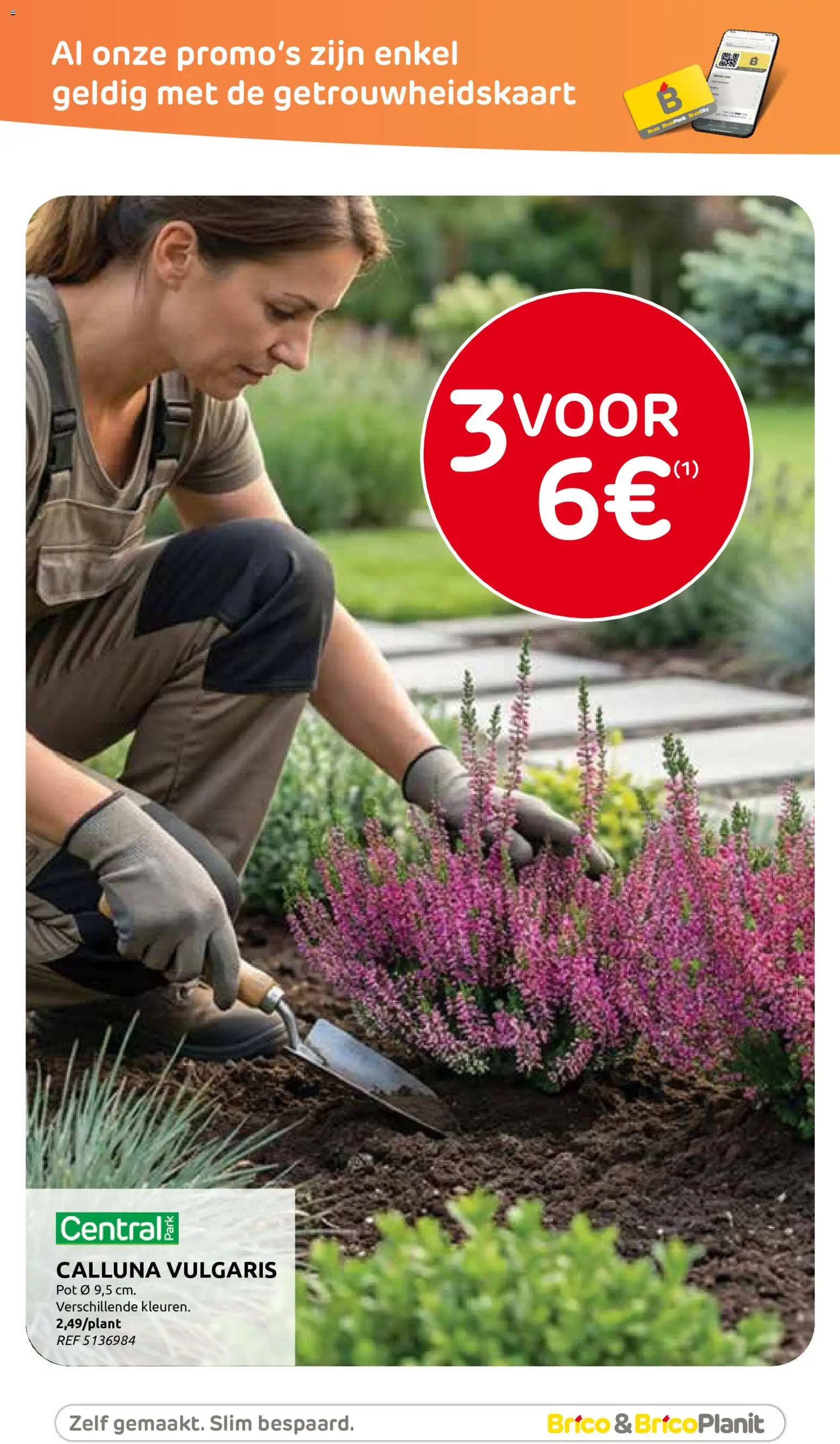 Brico Plan-it folder Folder in België