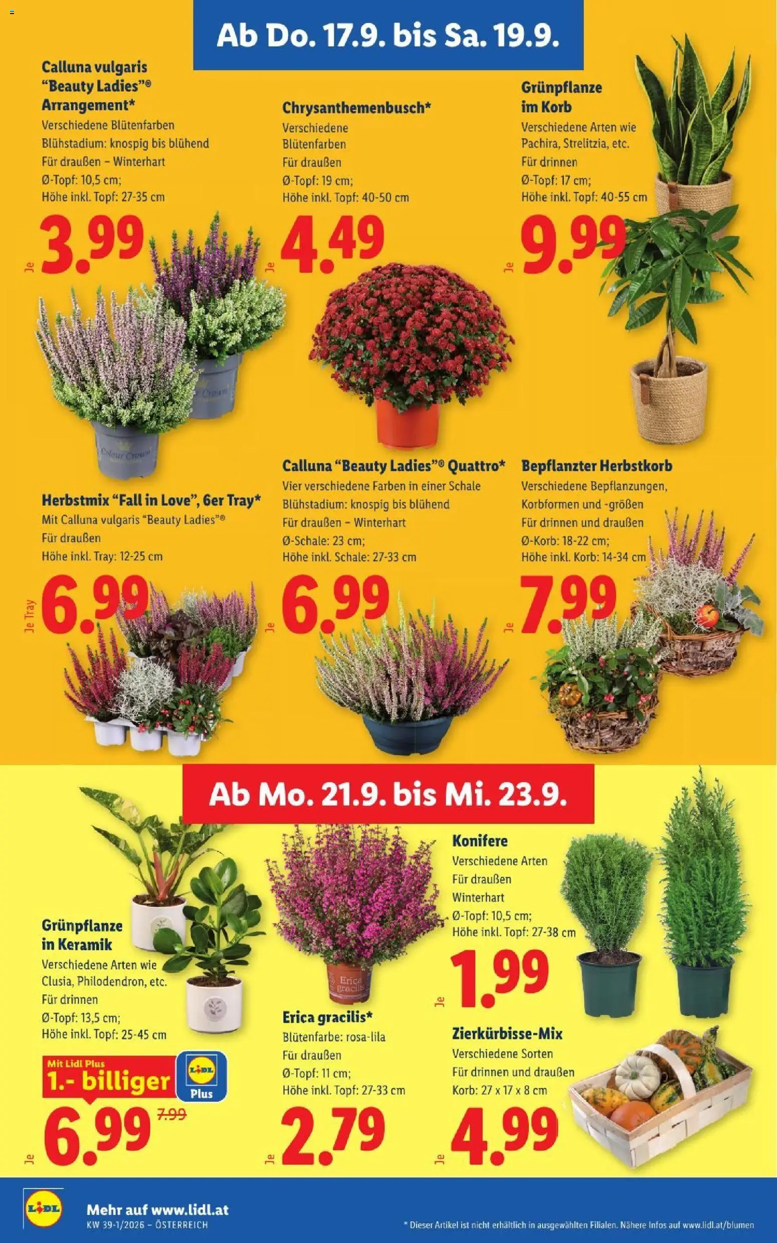 Lidl - Flugblatt Flugblatt in Österreich