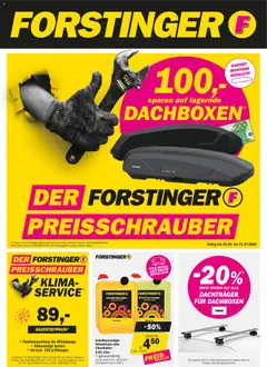 Forstinger Forstinger Flugblatt