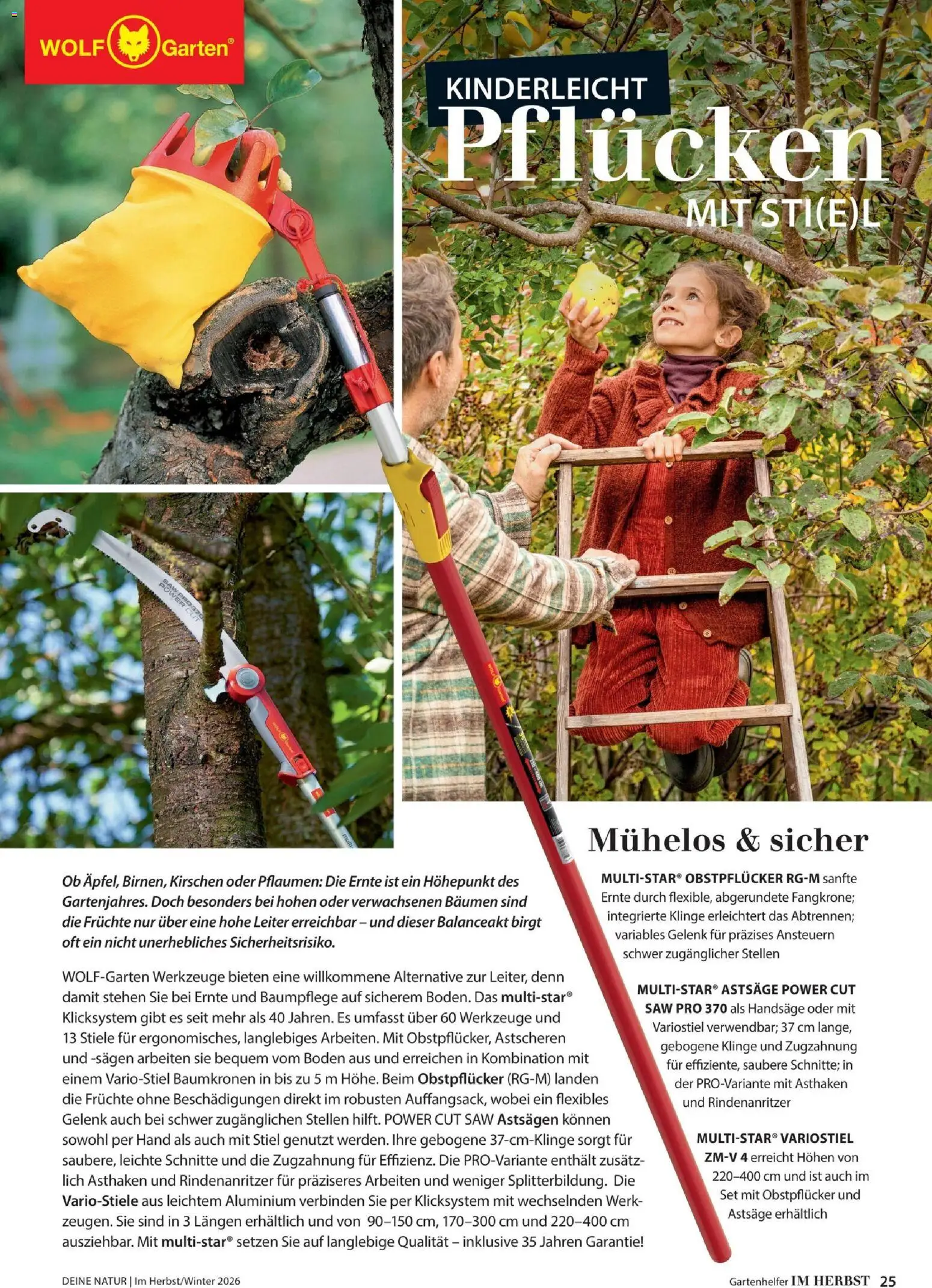 Dehner Prospekt Prospekt in Deutschland