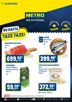Metro Katalog Aktüel Broşür ve Katalogları