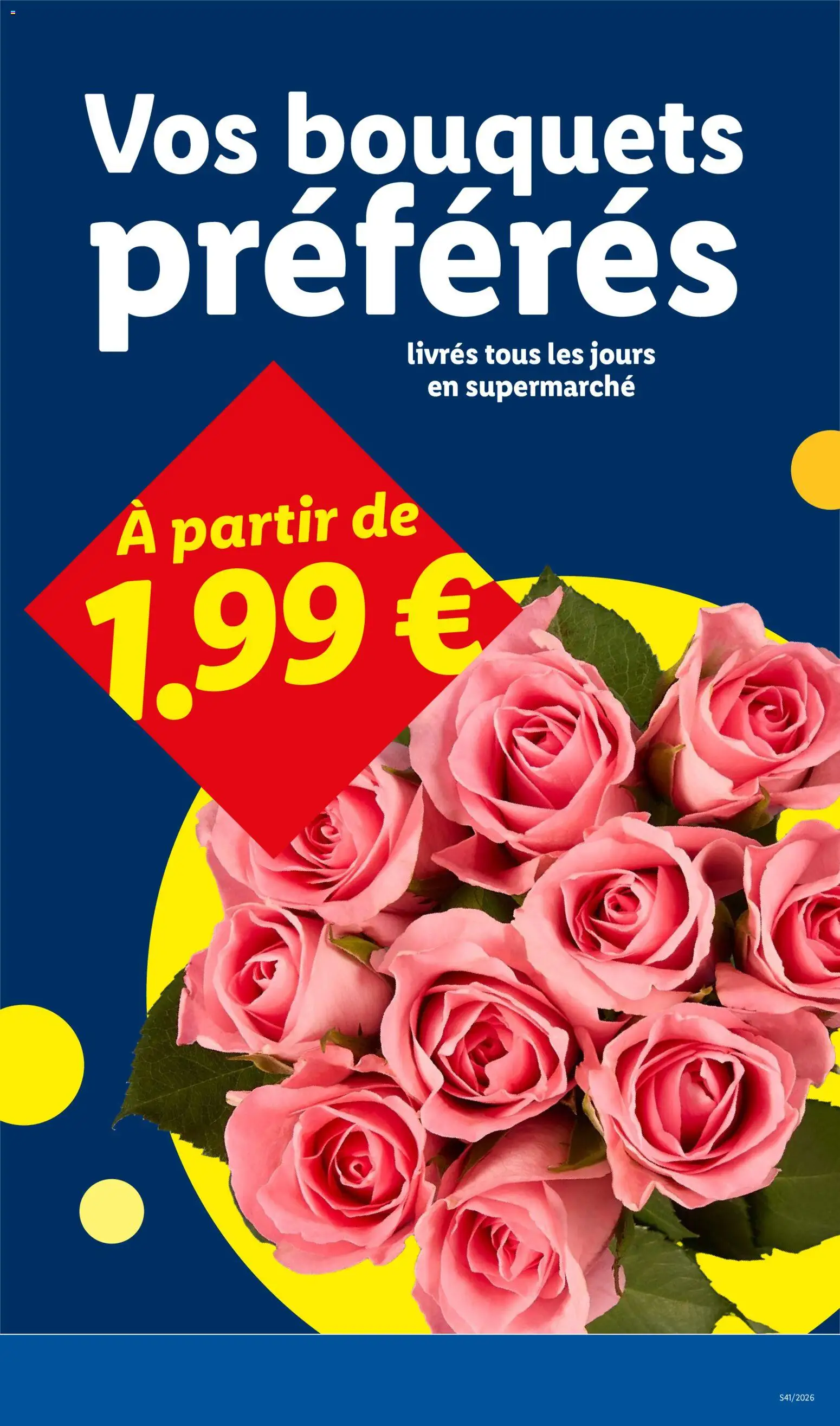 LIDL catalogue Catalogue in France