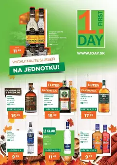 1day 1day leták