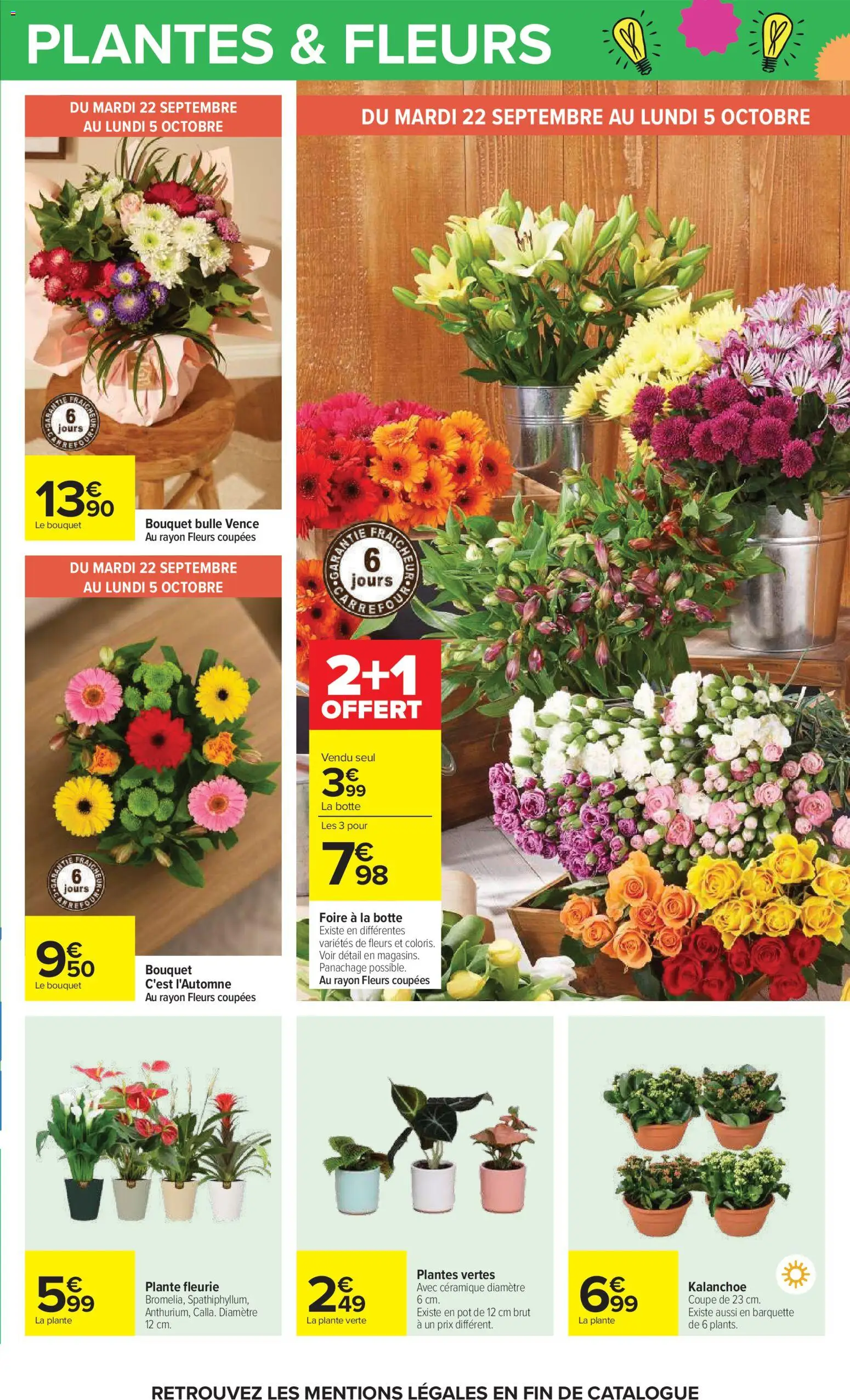 Carrefour catalogue Catalogue in France