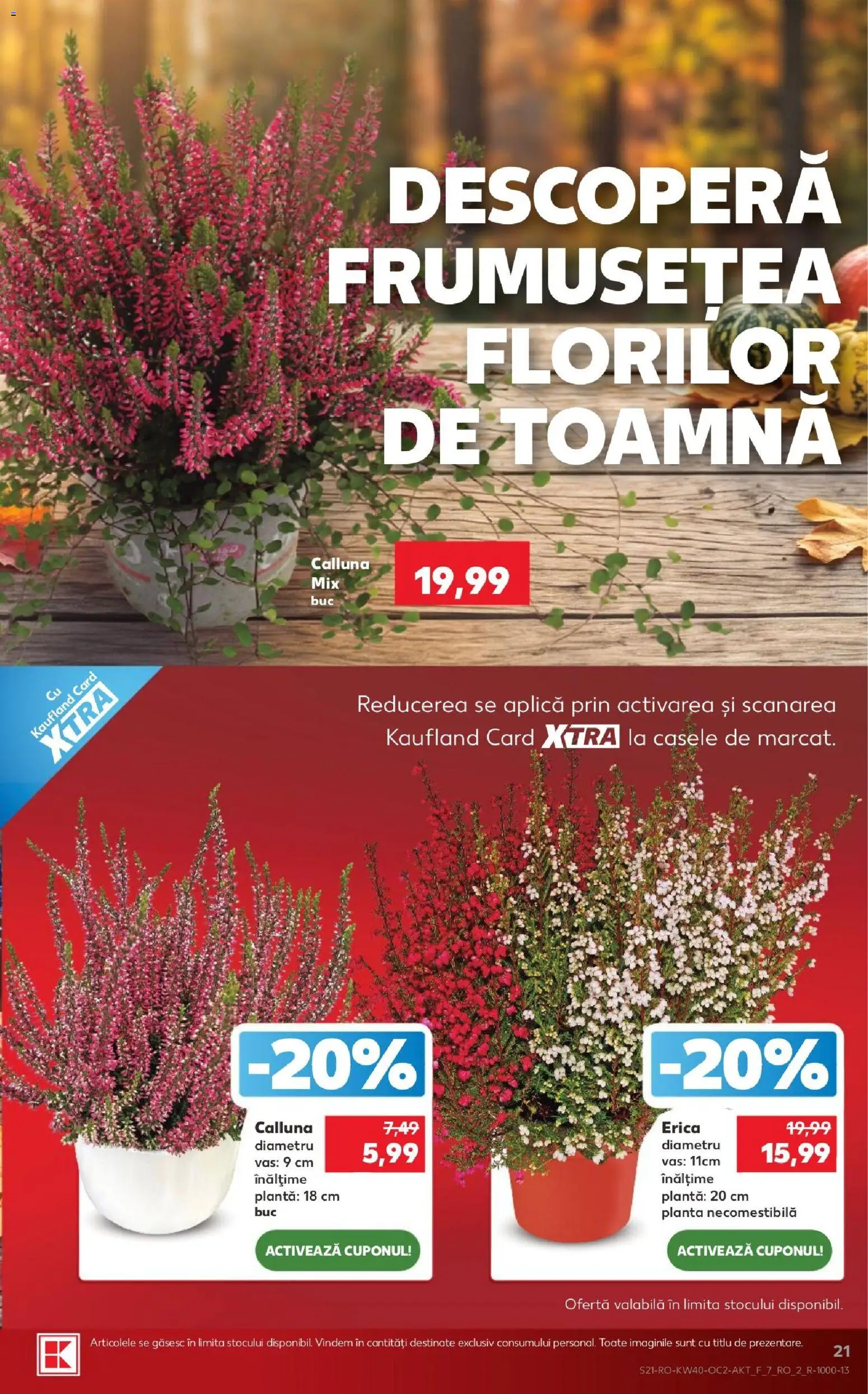 Kaufland RO akciós újság Akciós újság in Magyarország