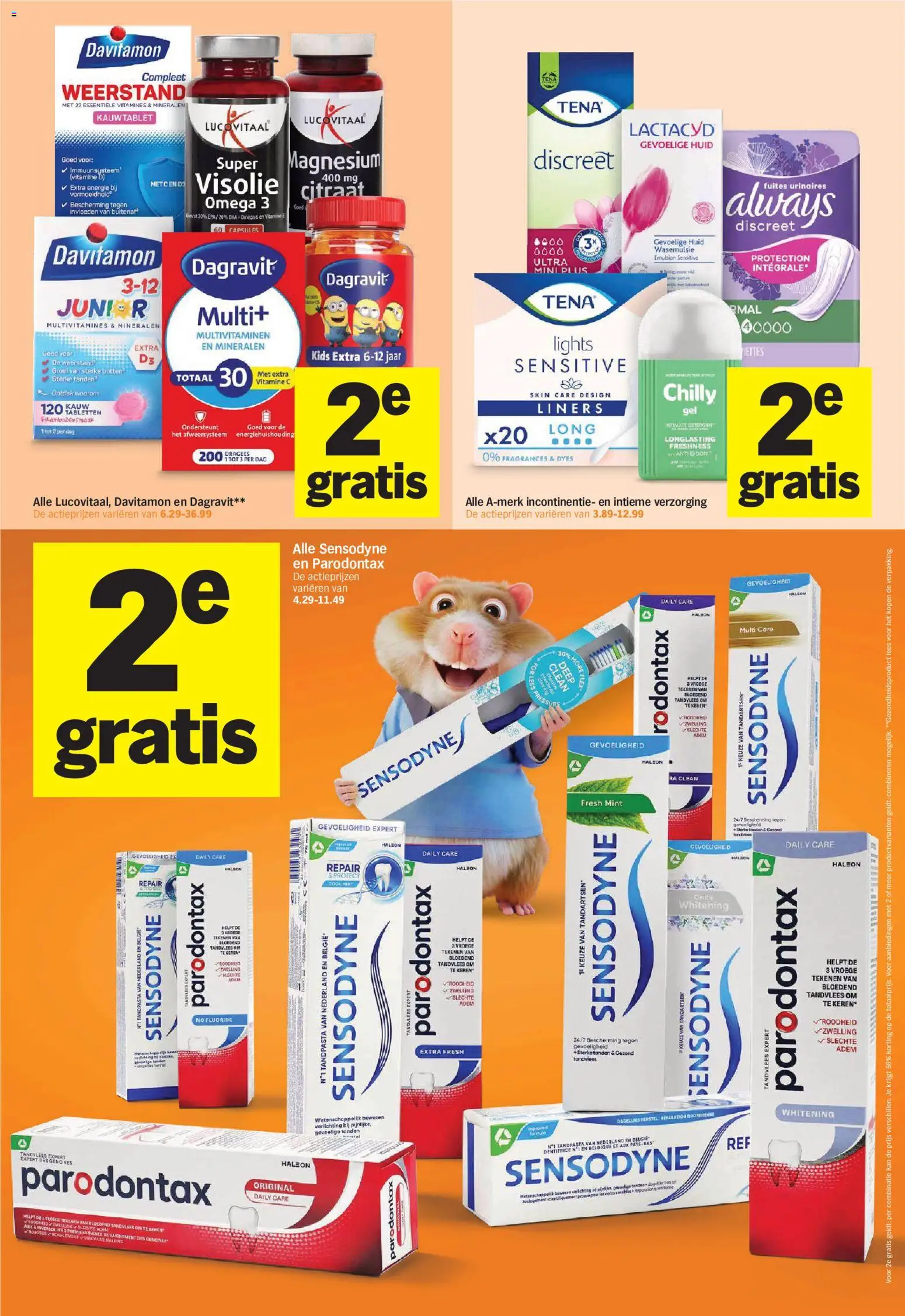 Albert Heijn folder Folder in Nederland