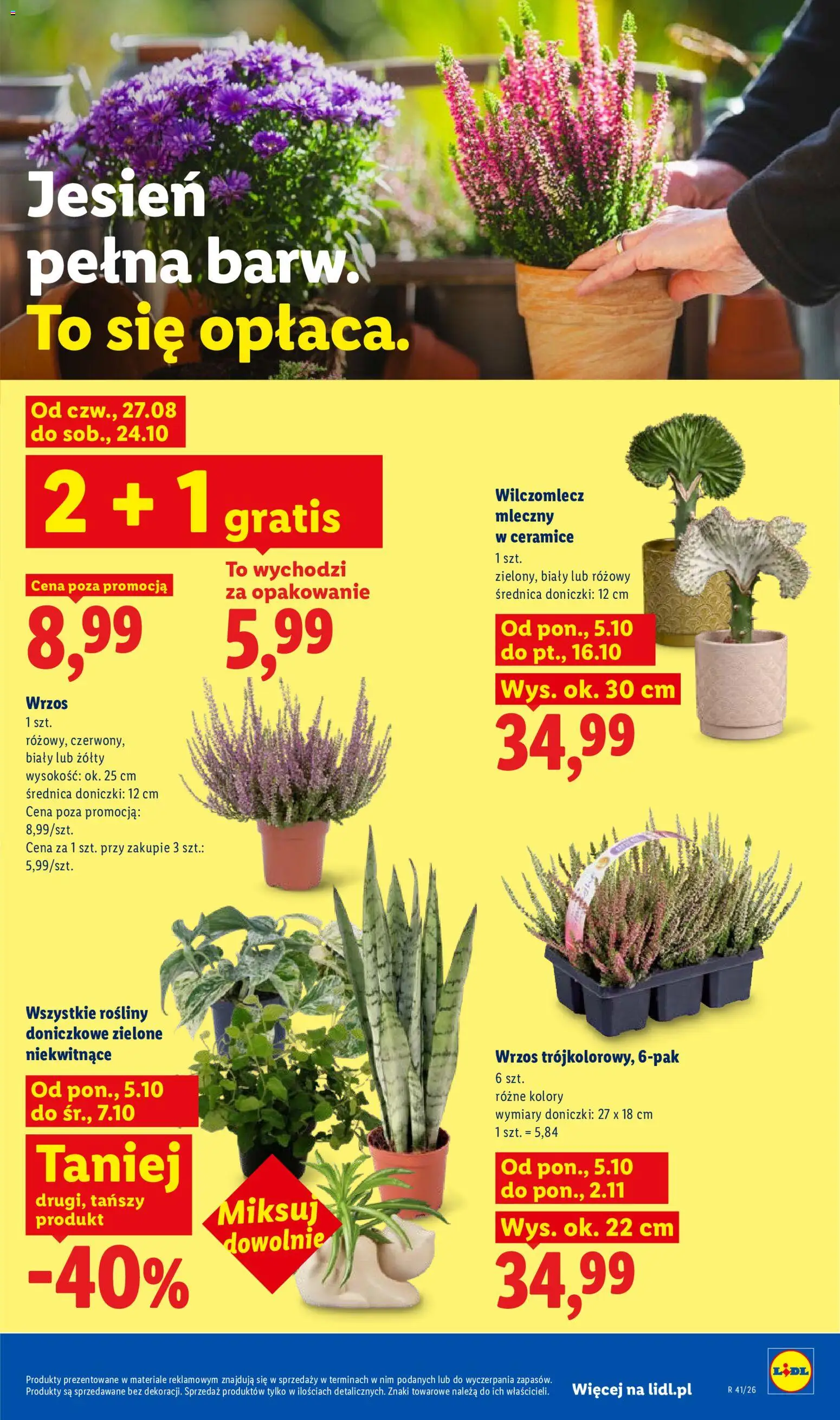 Lidl gazetka Gazetka in Polska