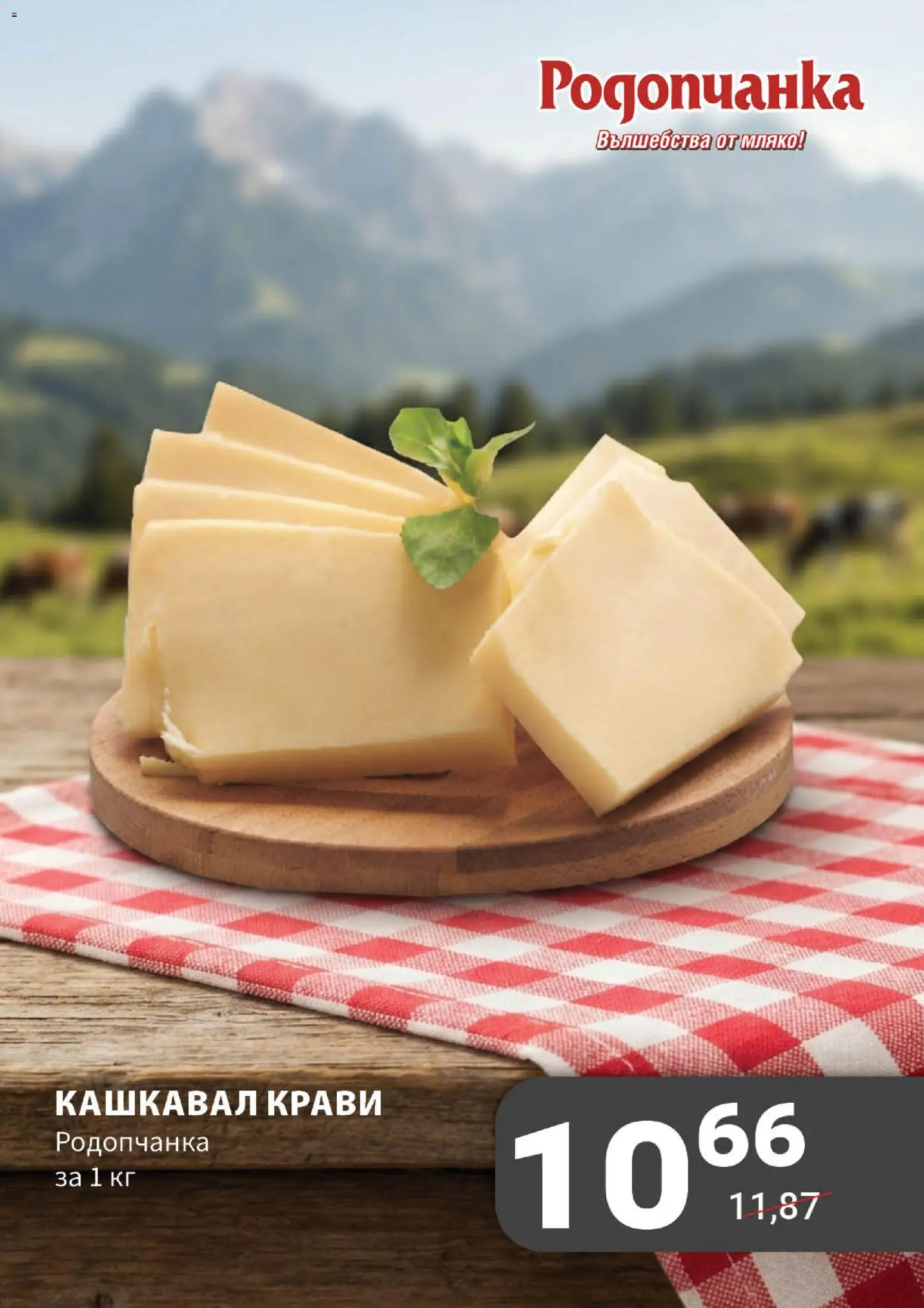 My Market брошура Брошура in България