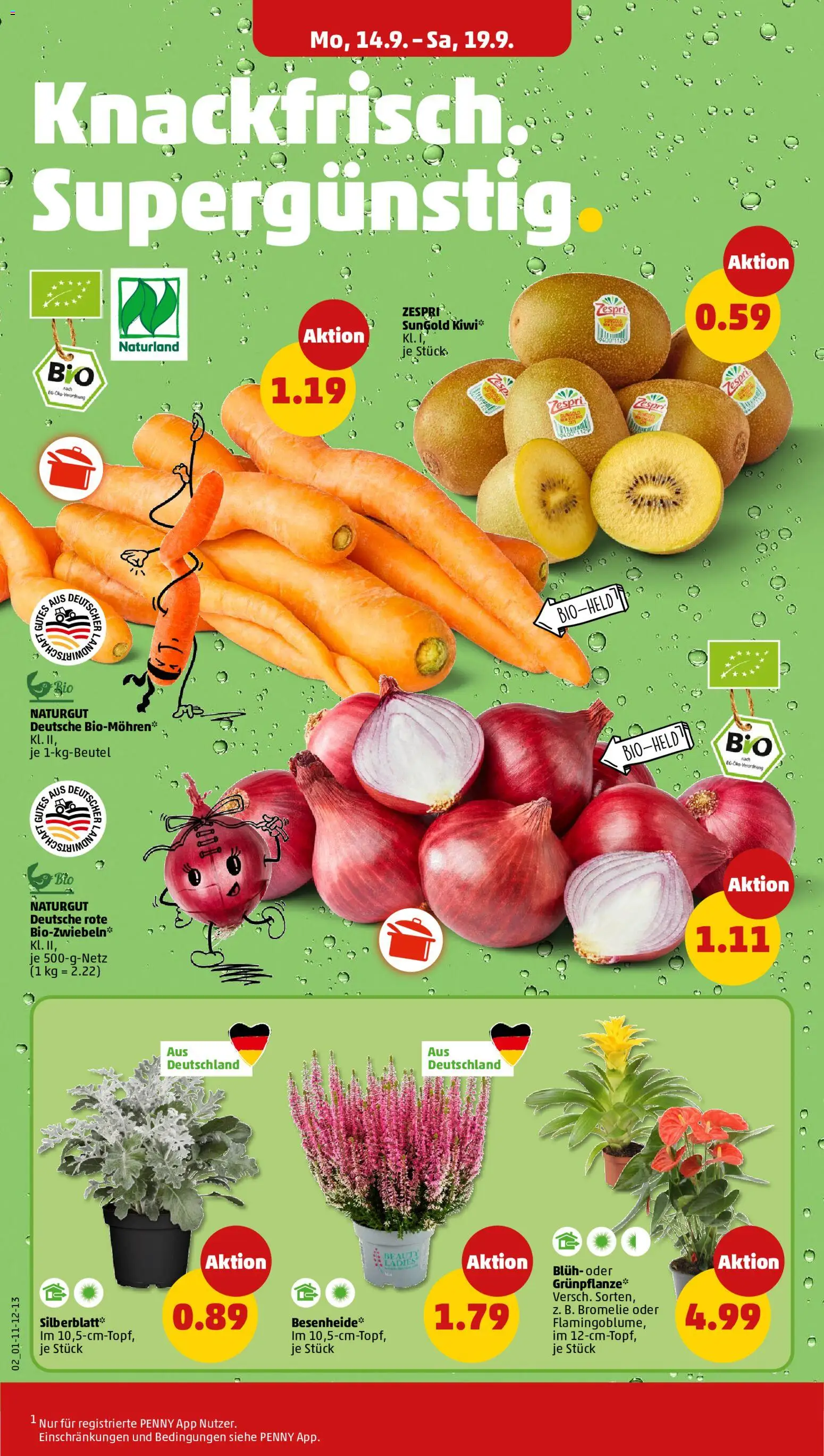 Penny Prospekt Prospekt in Deutschland