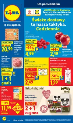 Lidl Lidl gazetka