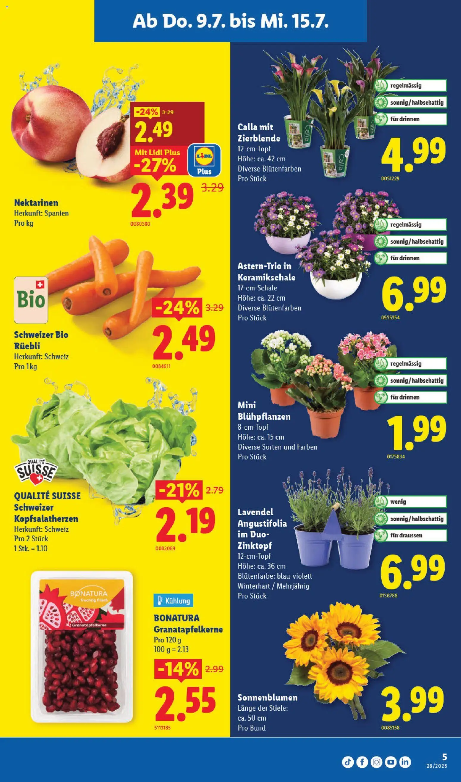 🛍️ Lidl aktionen ab 09.07.2026 » Entdecken Sie exklusive Rabatte und sparen Sie noch heute! 💰 | Schweiz