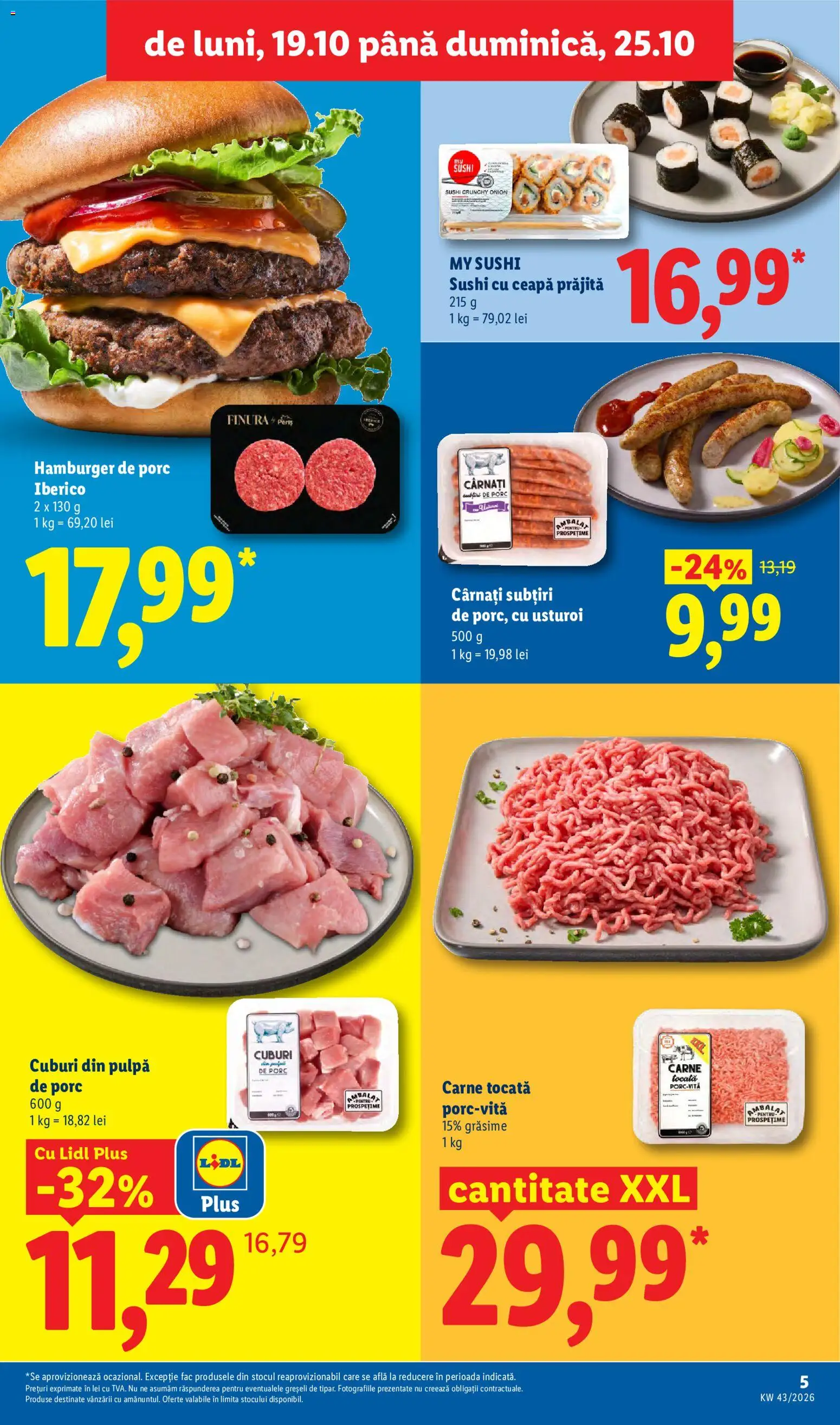 Lidl Catalog Catalog in România