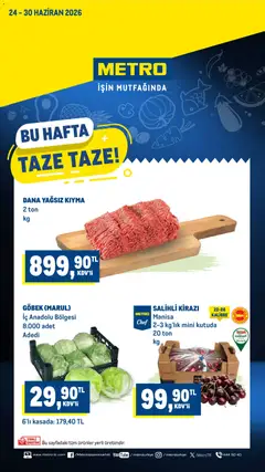 Metro Metro Katalog