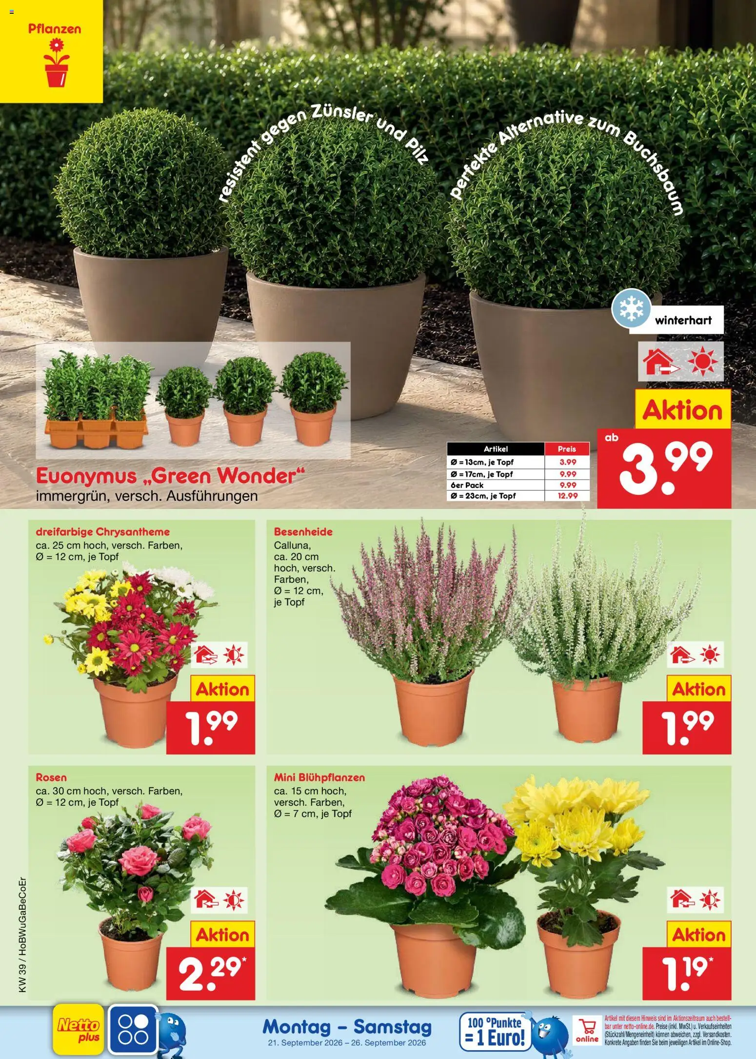 Netto Marken-Discount Prospekt Prospekt in Deutschland