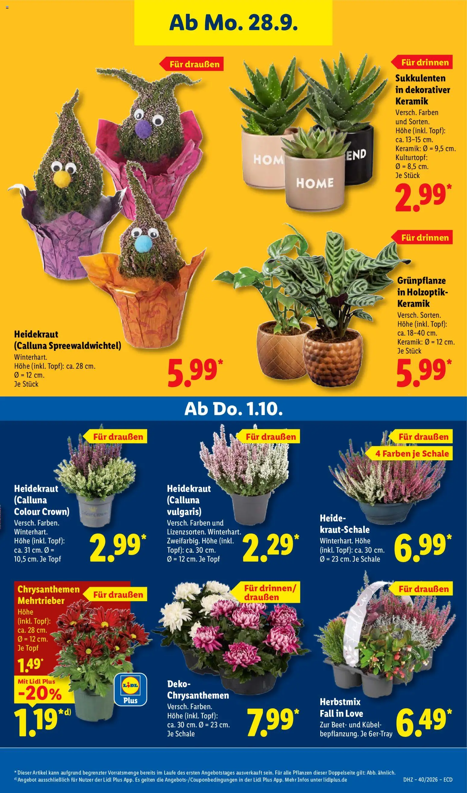 Lidl Prospekt Prospekt in Deutschland