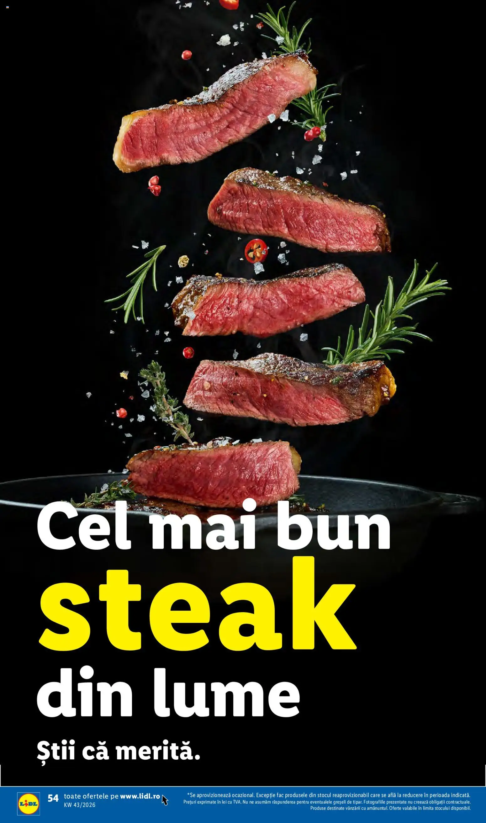 Lidl Catalog Catalog in România