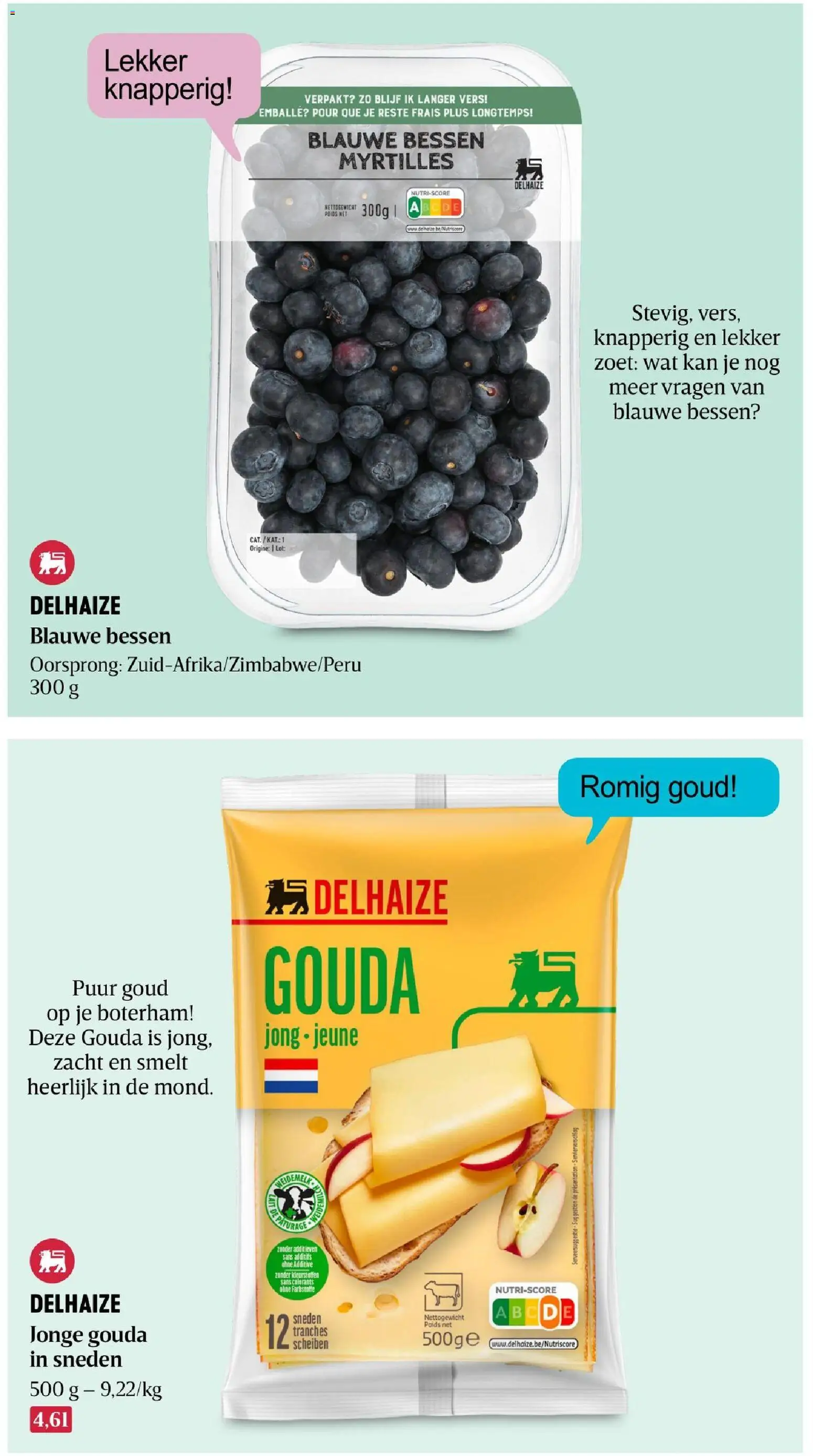 Delhaize folder Folder in België