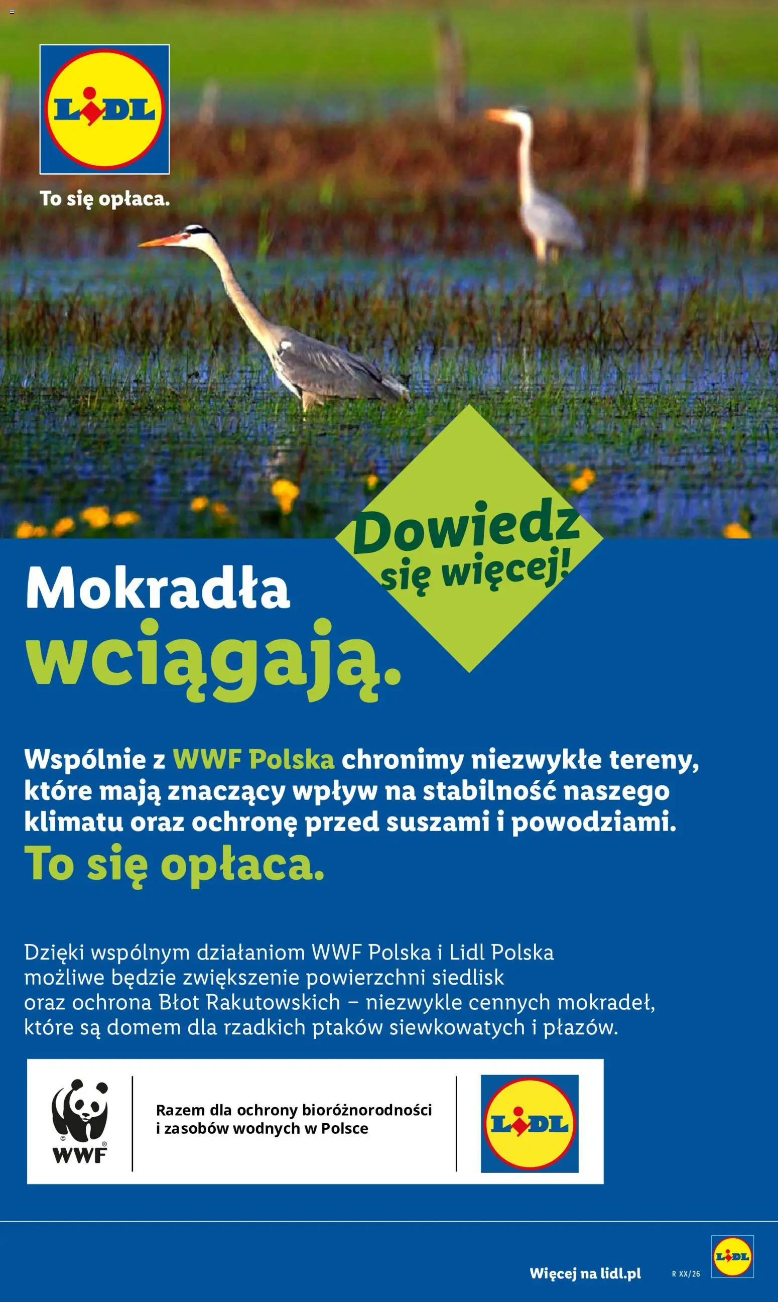 🔥Gazetka Lidl od 09.07.2026: Ceny, które musisz zobaczyć! 🤯💯 | Polska