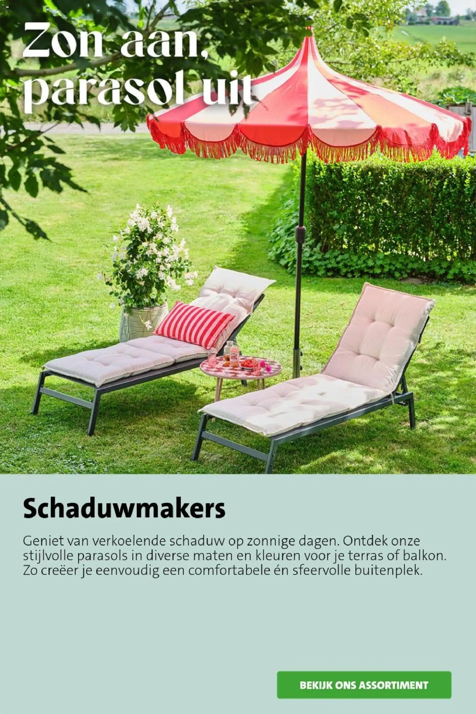 Nieuwe » Intratuin folder voor Juli « is er! Ontdek geweldige aanbiedingen en bespaar. | Nederland