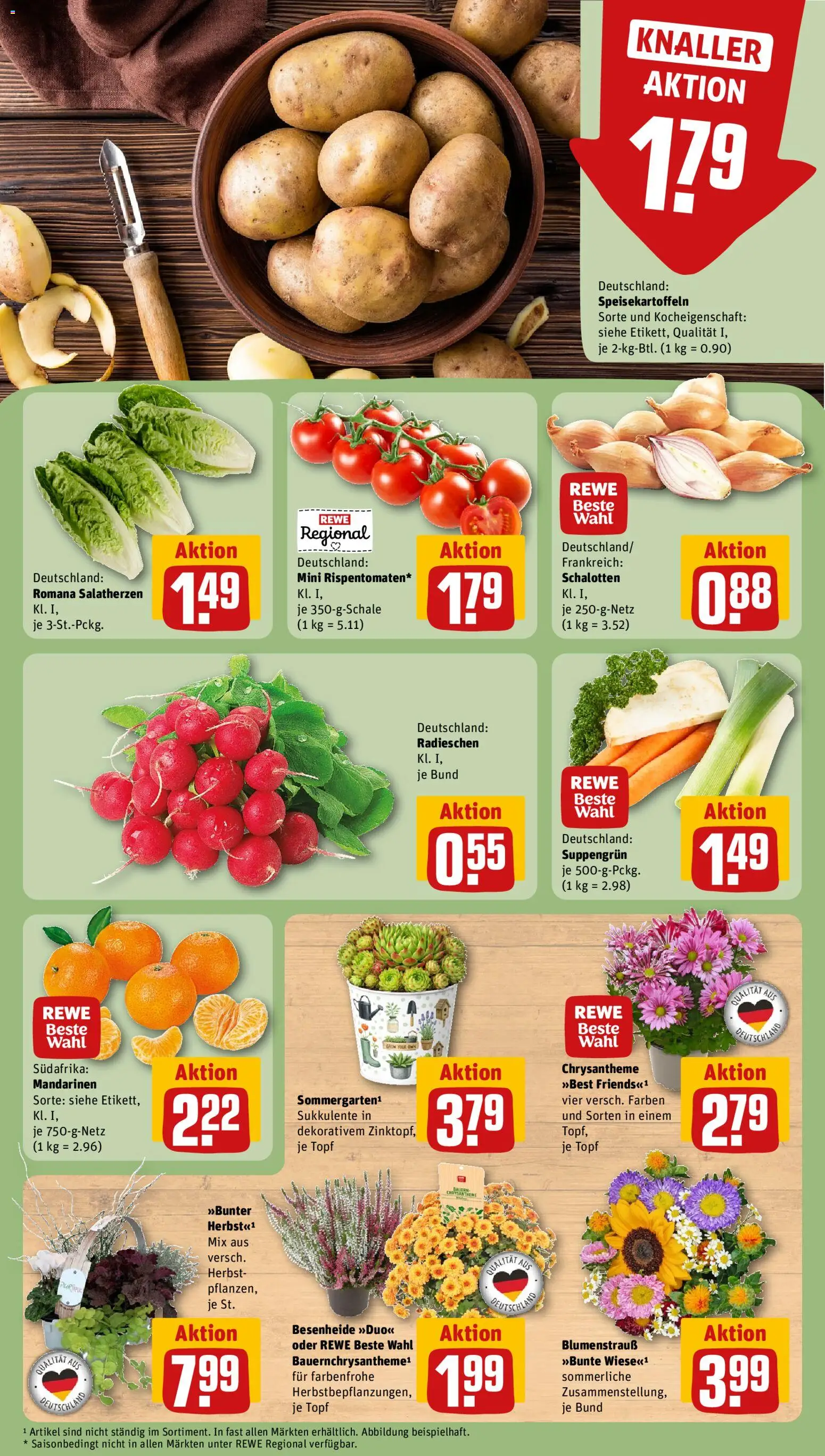 Rewe Prospekt Prospekt in Deutschland