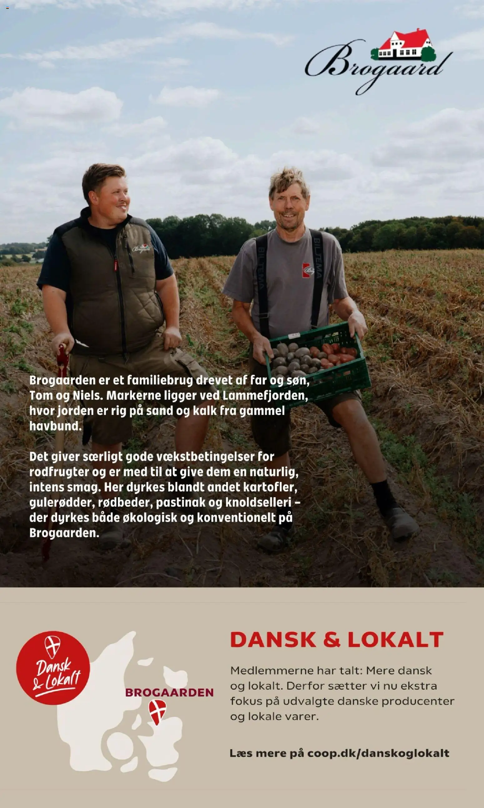 Coop 365 - Tilbudsavis uge 42 Tilbudsavis in Danmark