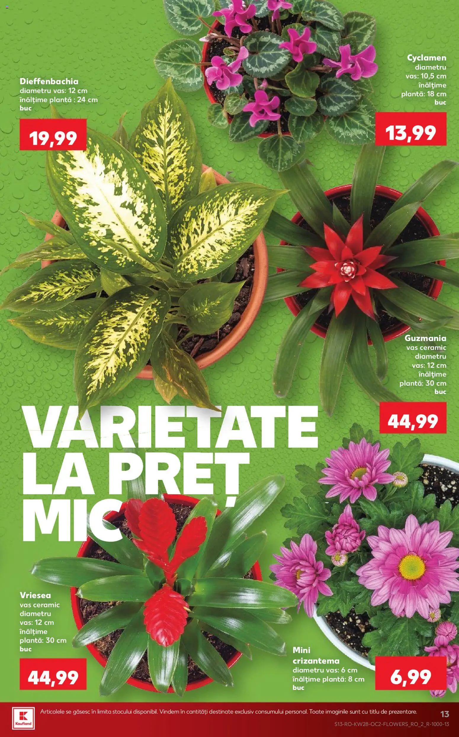 🛍️ Kaufland Catalog din 08.07.2026 » Descoperiți oferte exclusive și economisiți chiar azi! 💰 | România