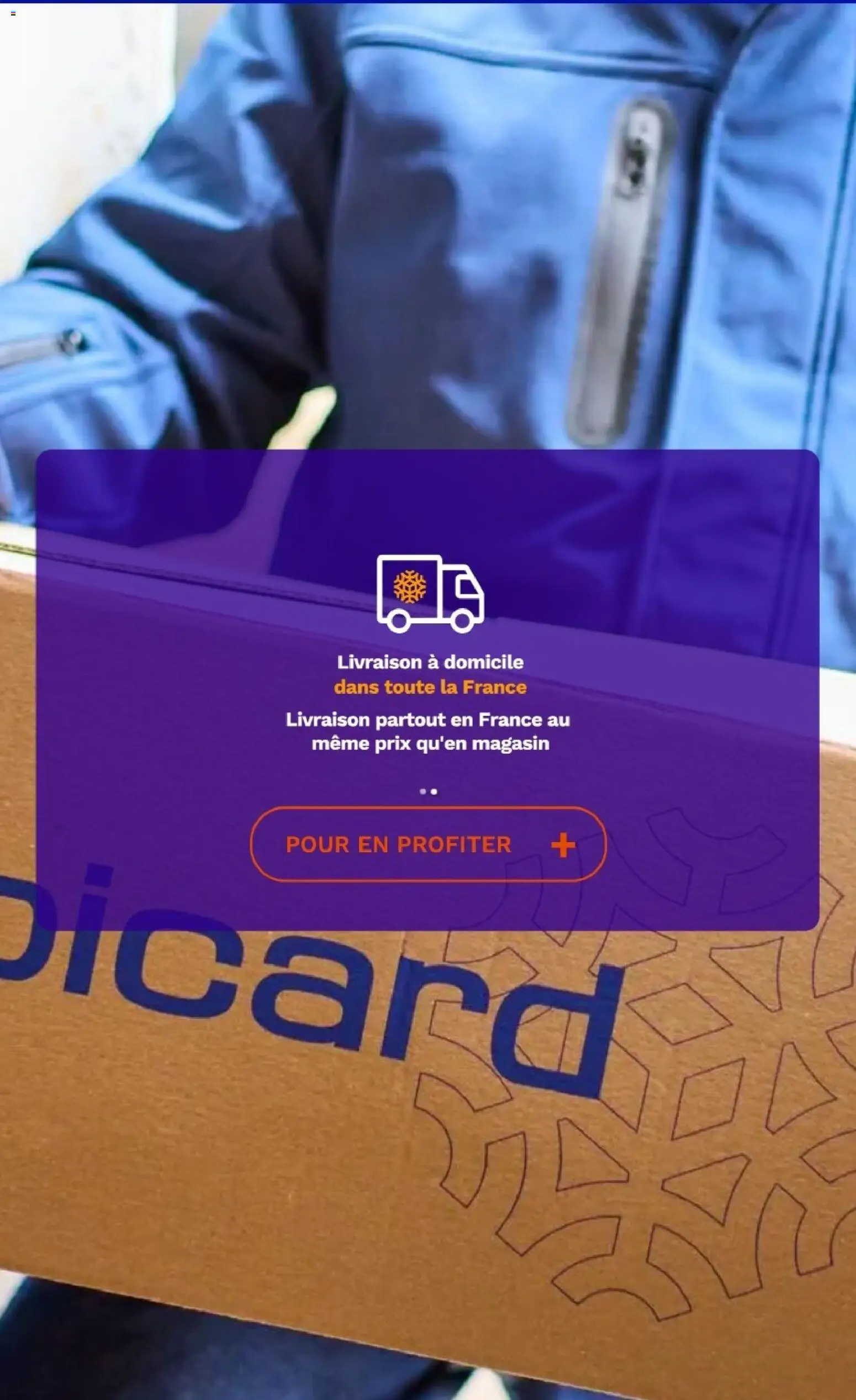 Picard catalogue Catalogue in France