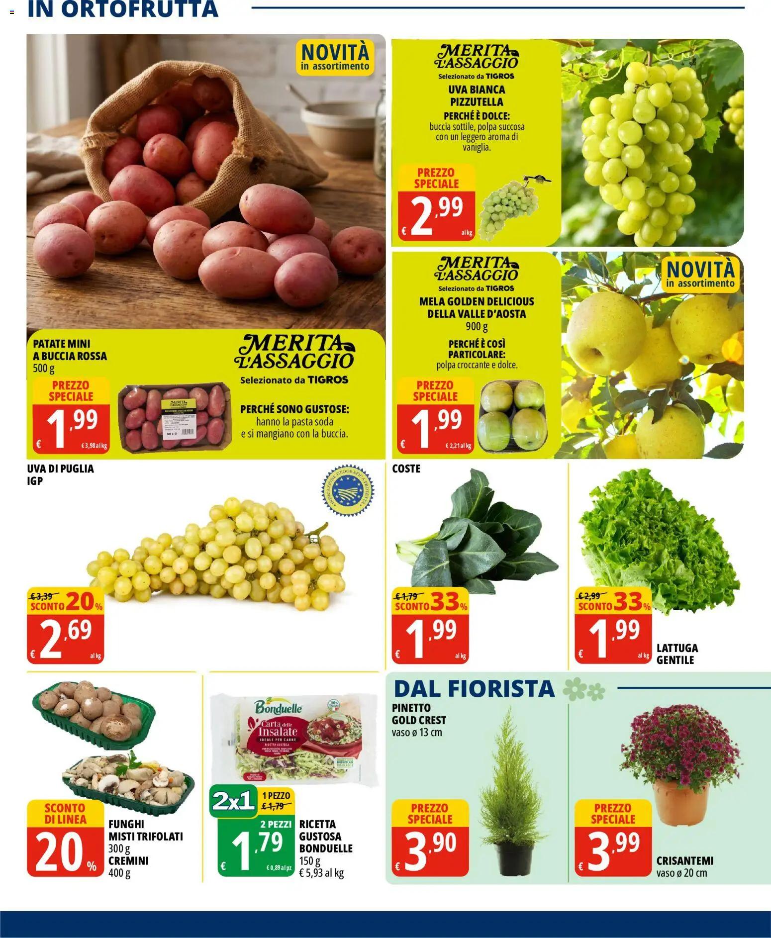 Tigros volantino Volantino in Italy